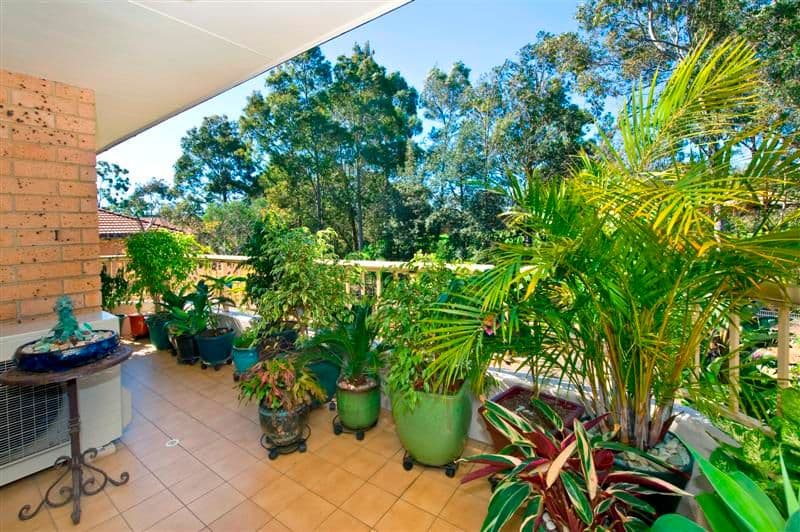 1-15 Tuckwell Place, MACQUARIE PARK NSW 2113, Macquarie Park - Thumbnail 6