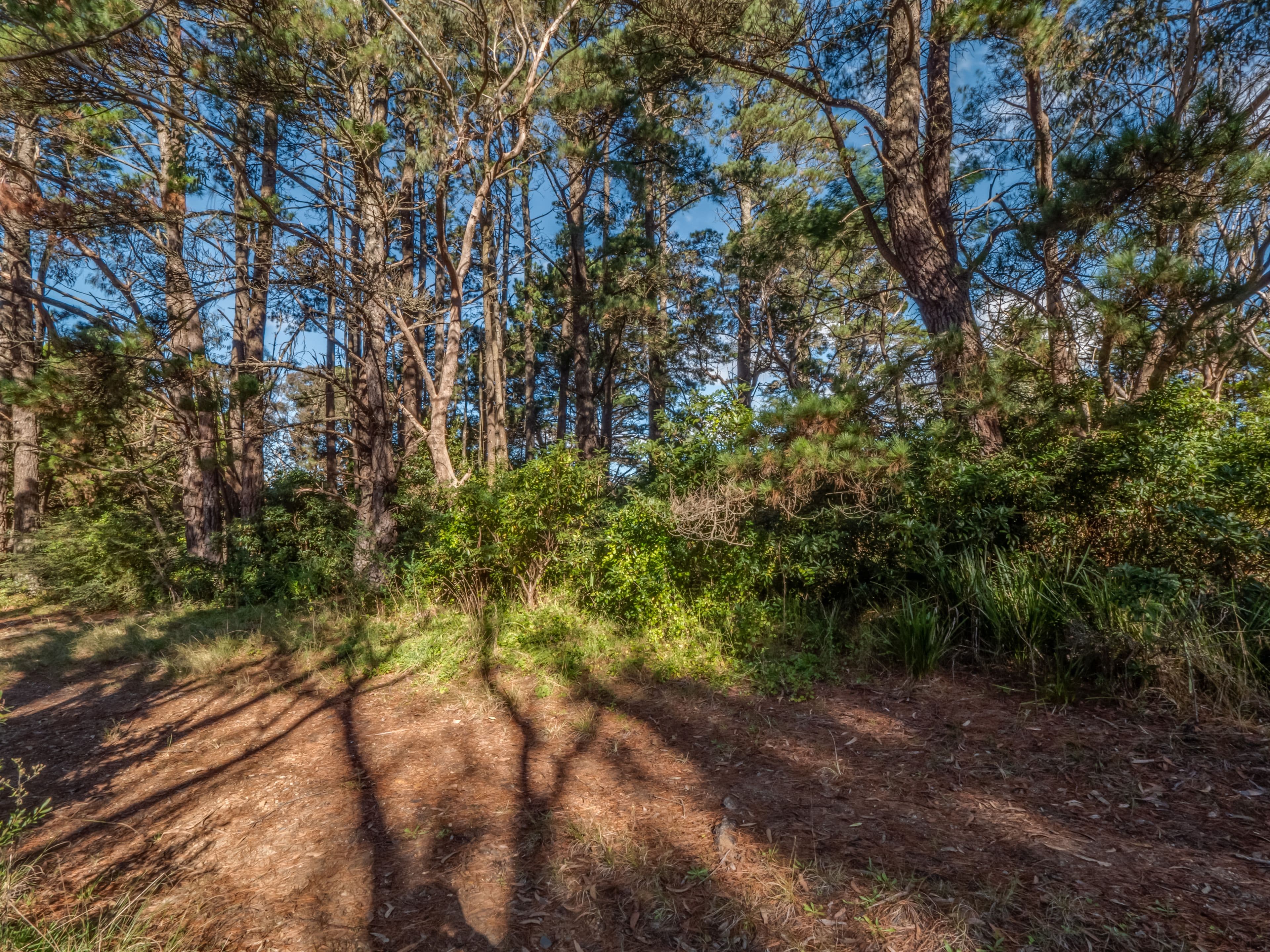 10 Cascade Street, Wentworth Falls NSW 2782, Wentworth Falls - Thumbnail 3