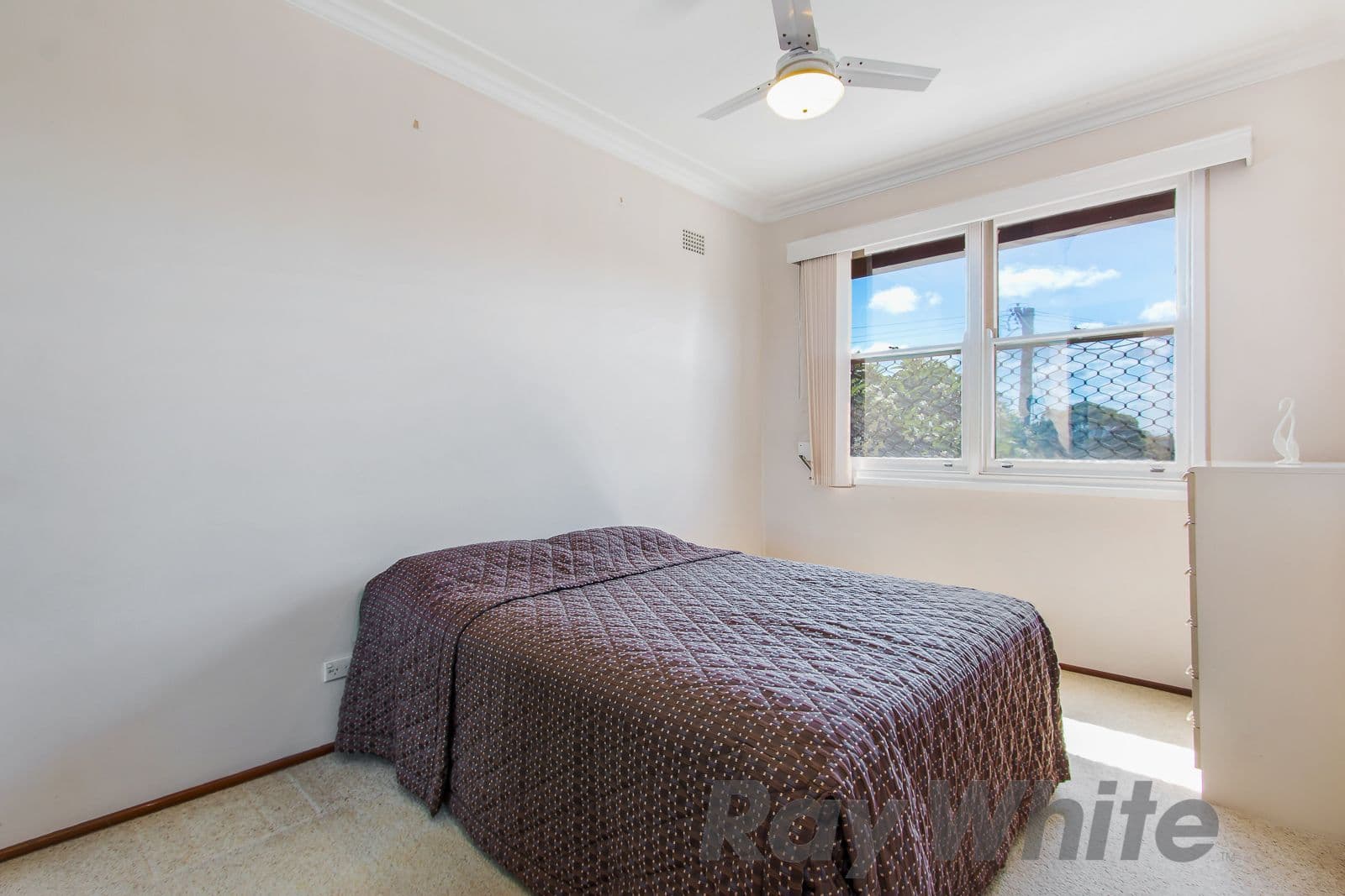 22 Mcdonald Crescent, Charlestown - Thumbnail 6