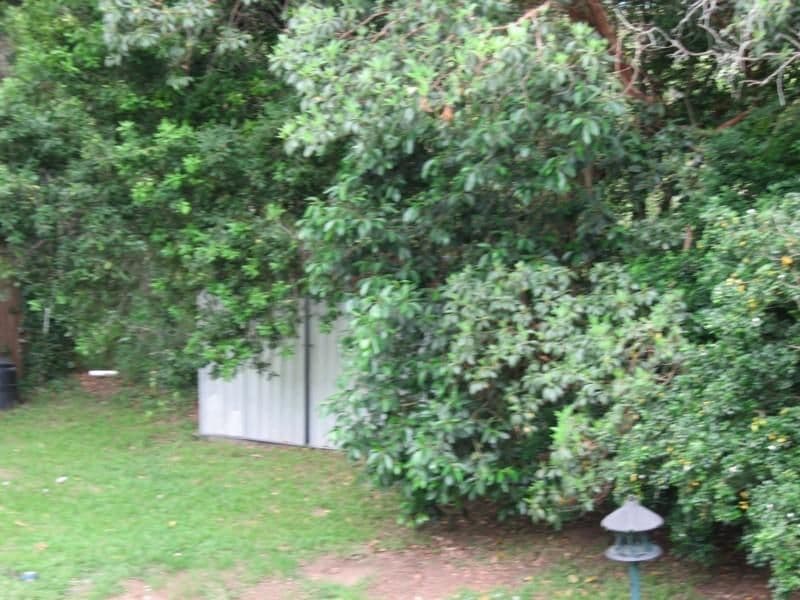51 Aberfoyle Street, KENMORE QLD 4069, Kenmore - Thumbnail 3