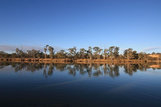 Lot 207 Scotts Creek, Morgan SA 5320, Morgan - Image 1