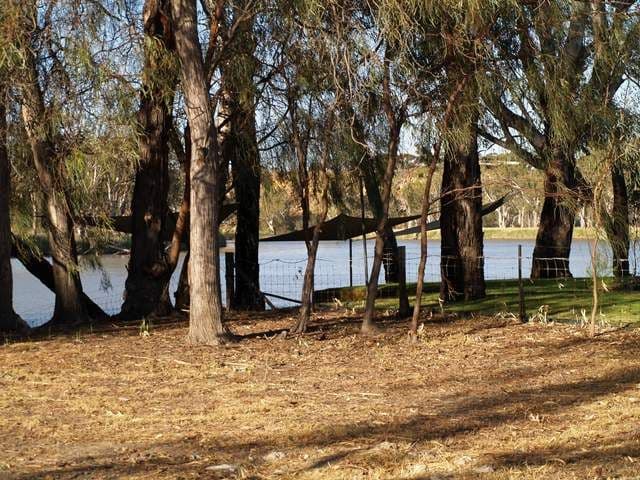 Lot 207 Scotts Creek, Morgan SA 5320, Morgan - Thumbnail 5