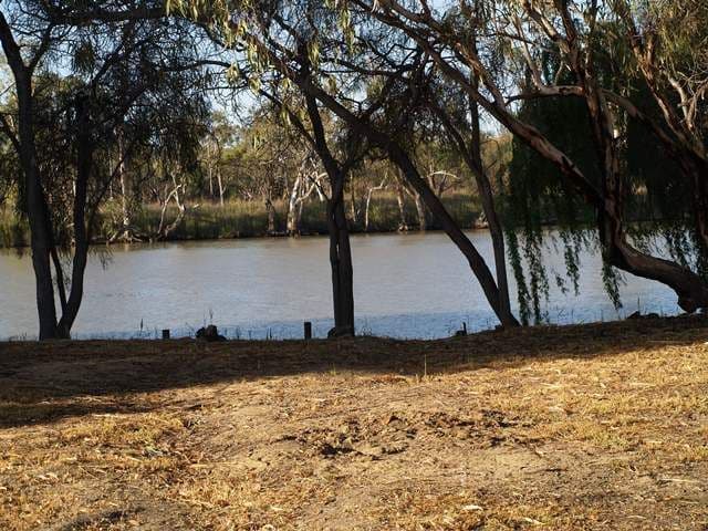 Lot 207 Scotts Creek, Morgan SA 5320, Morgan - Thumbnail 6