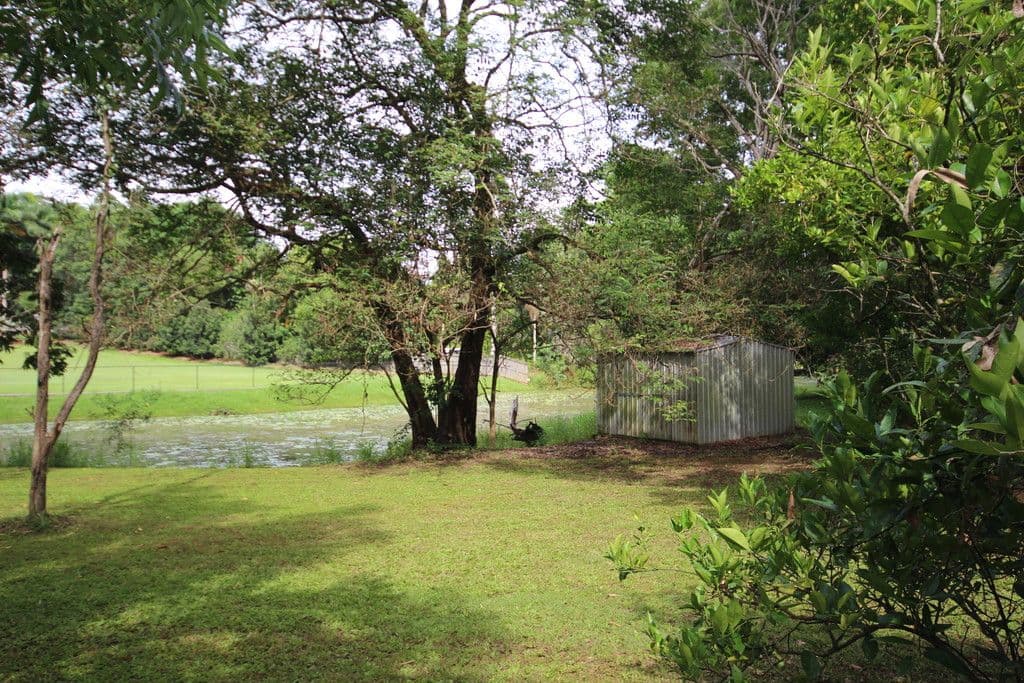 453 Peachester Road, Beerwah QLD 4519, Beerwah - Thumbnail 5