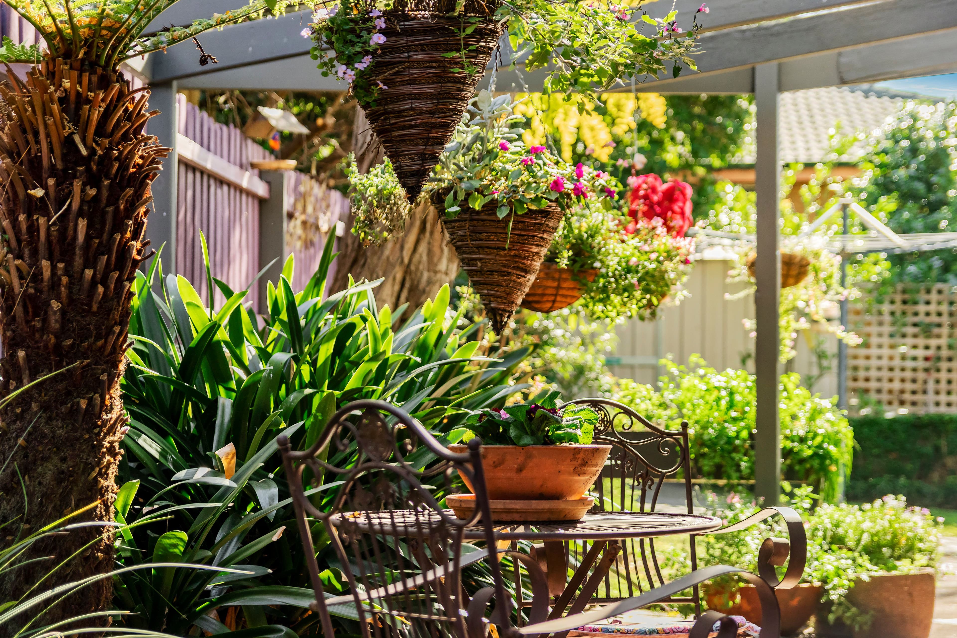 17 Harborne Street, Macleod VIC 3085, Macleod - Thumbnail 8