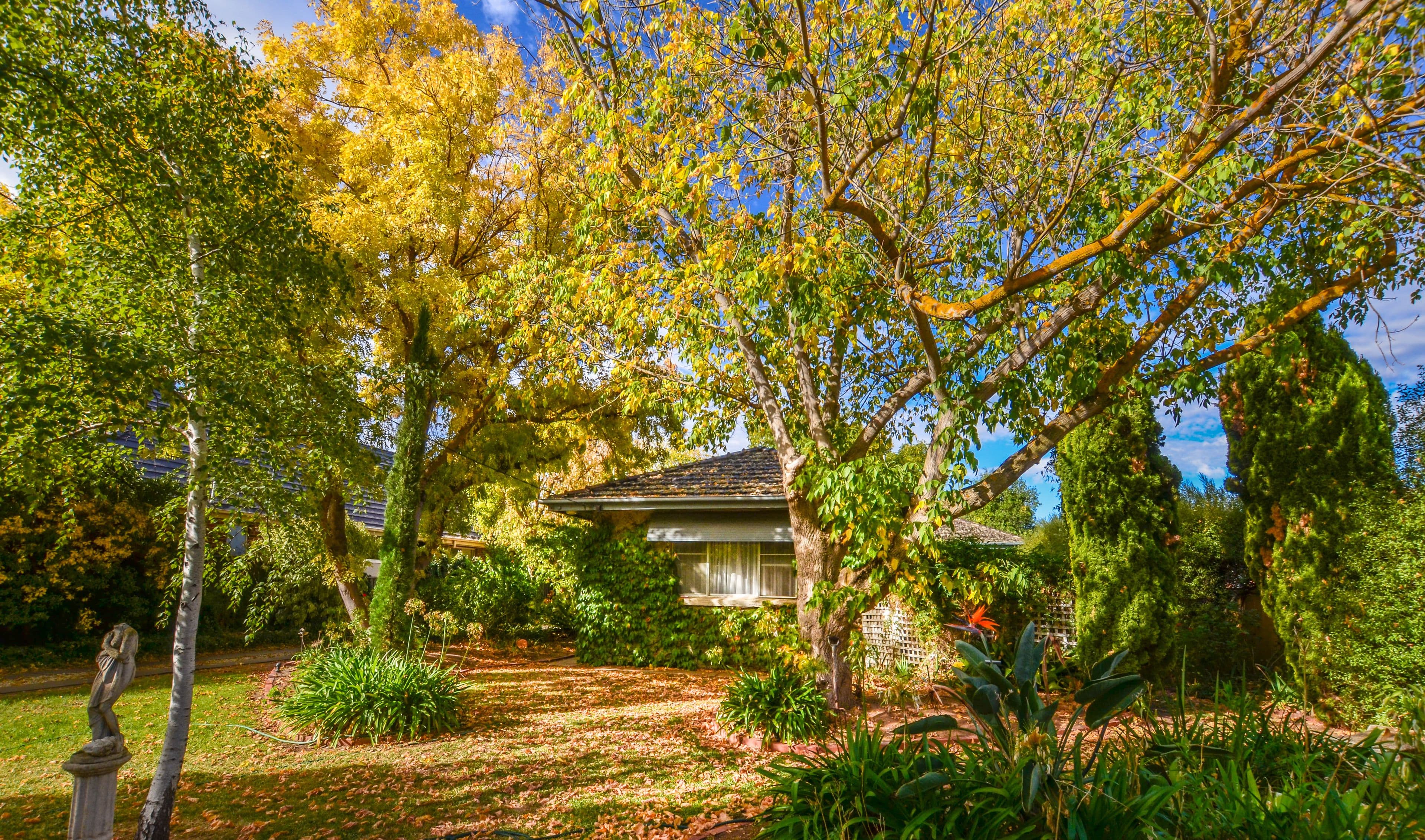 54 Hopwood Street, Echuca VIC 3564, Echuca - Image 1
