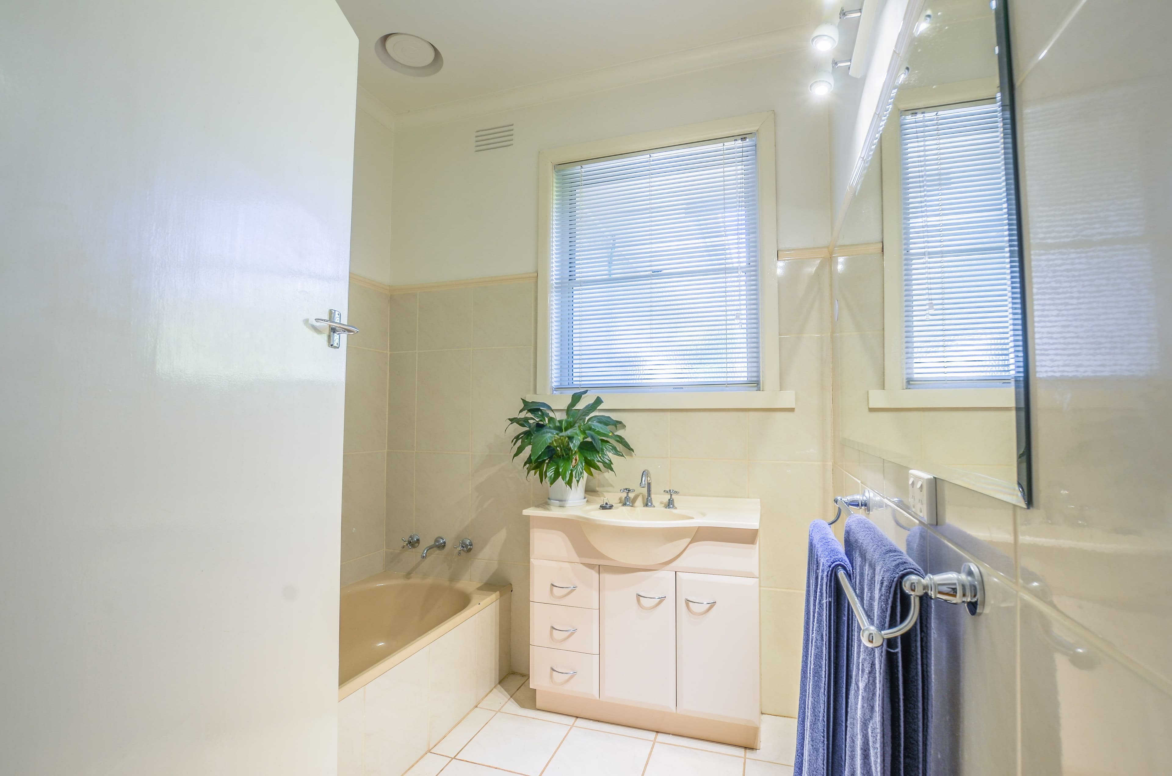 54 Hopwood Street, Echuca VIC 3564, Echuca - Thumbnail 4