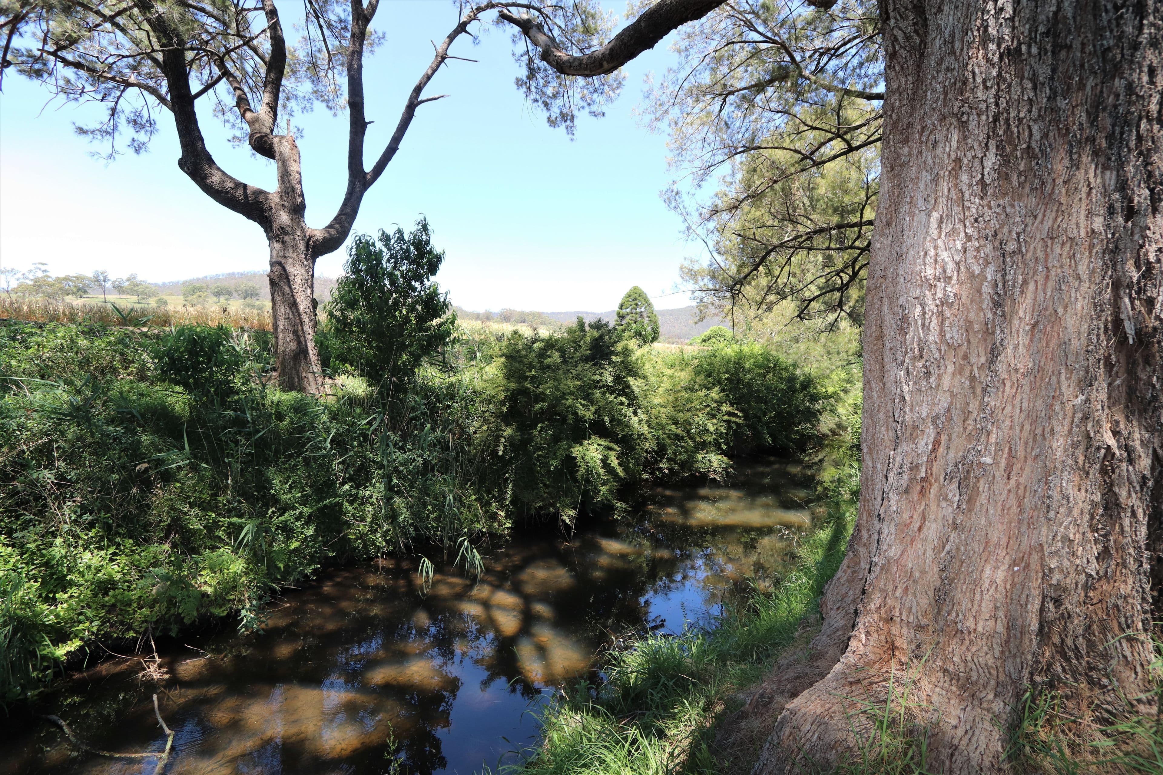 Lot 2 Border Road, Killarney QLD 4373, Killarney - Image 1