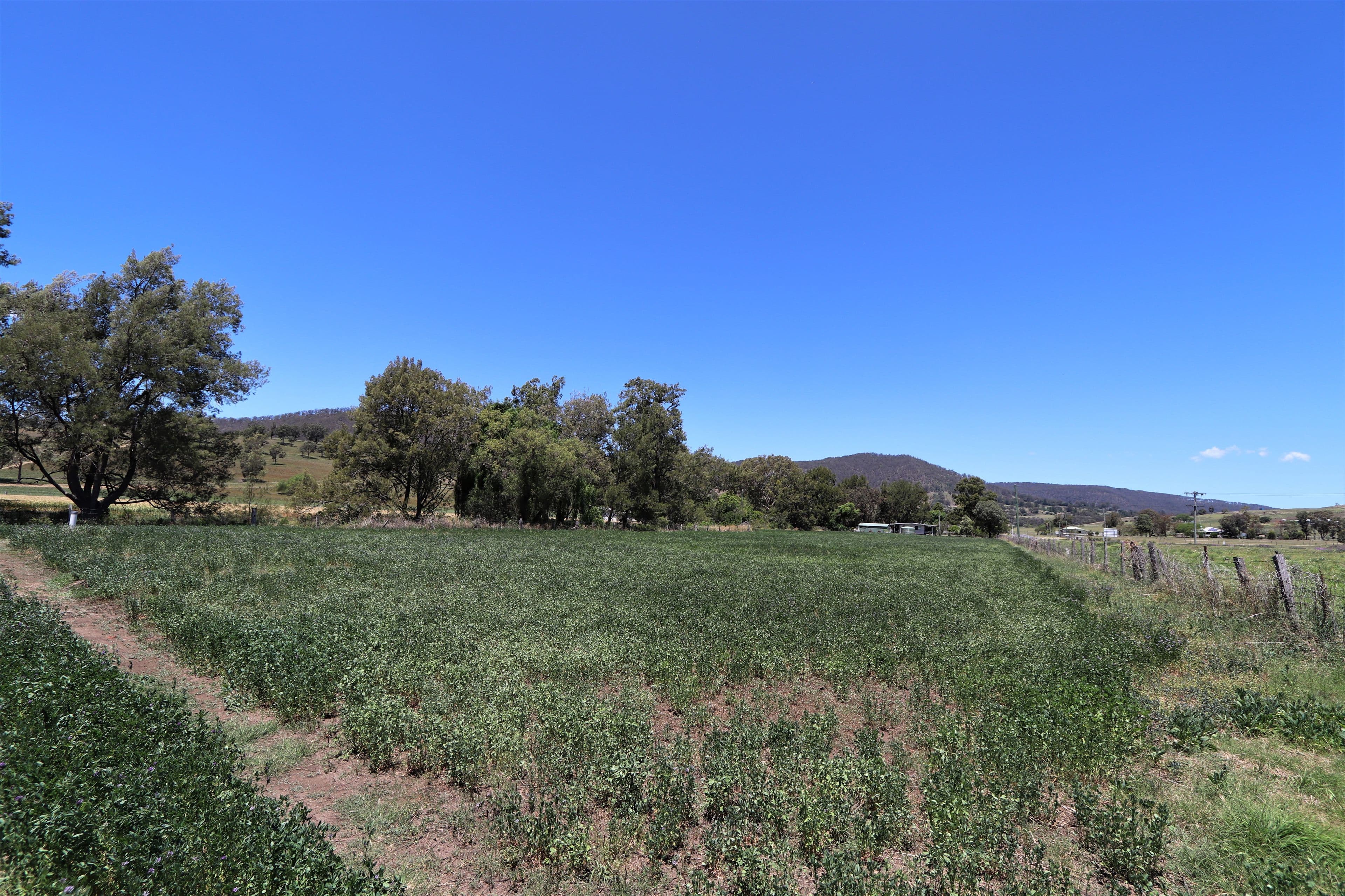 Lot 2 Border Road, Killarney QLD 4373, Killarney - Thumbnail 2