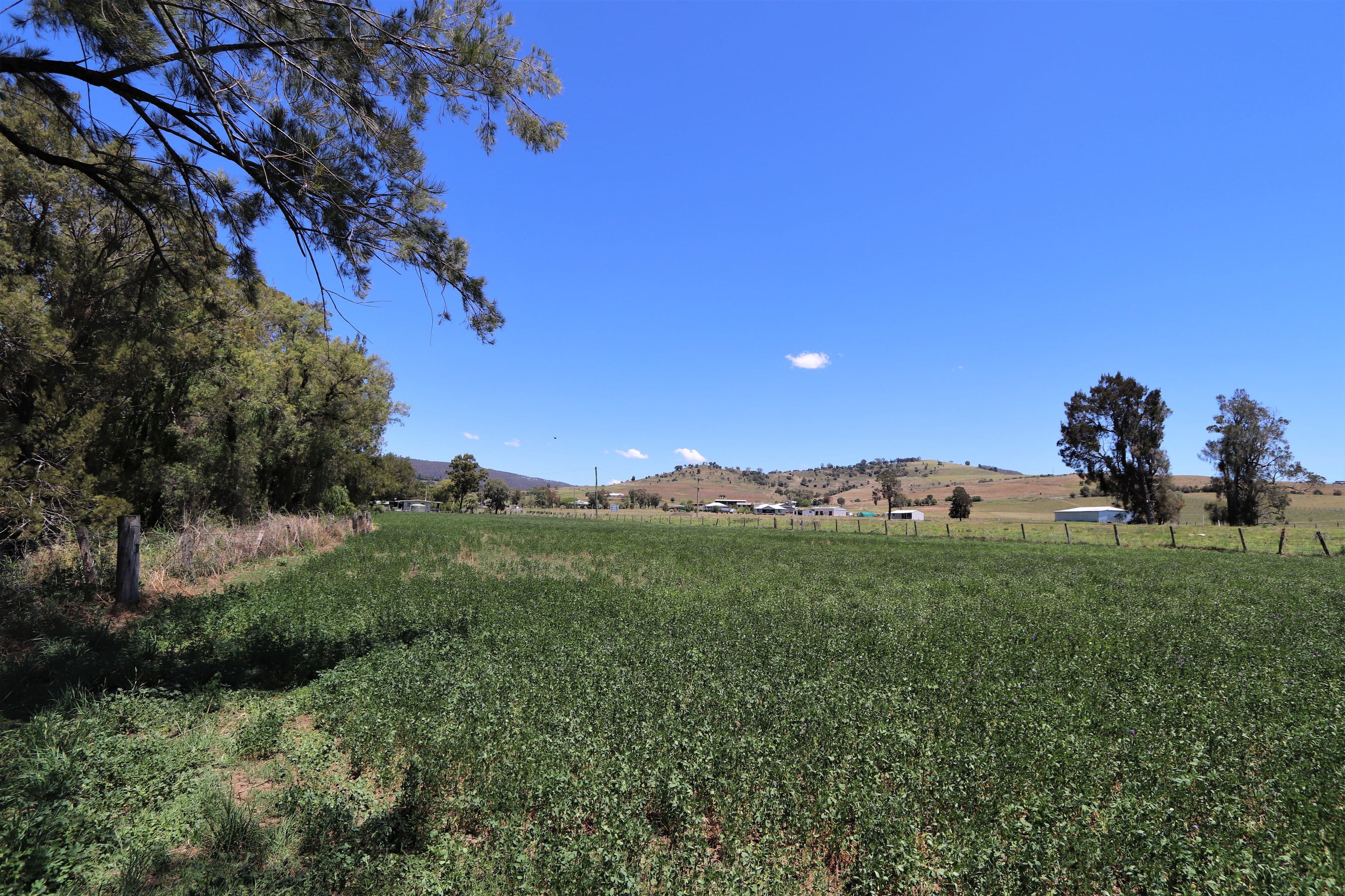 Lot 2 Border Road, Killarney QLD 4373, Killarney - Thumbnail 3