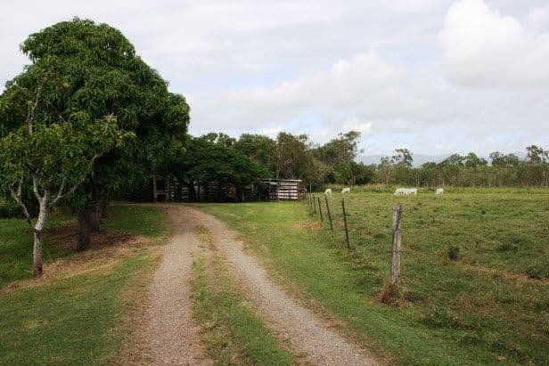 886 Sarina Beach Road, SARINA QLD 4737, Sarina Beach - Thumbnail 7