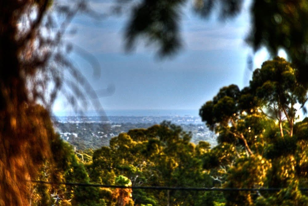 54 Perserverance Road, Tea Tree Gully SA 5091, Tea Tree Gully - Thumbnail 3