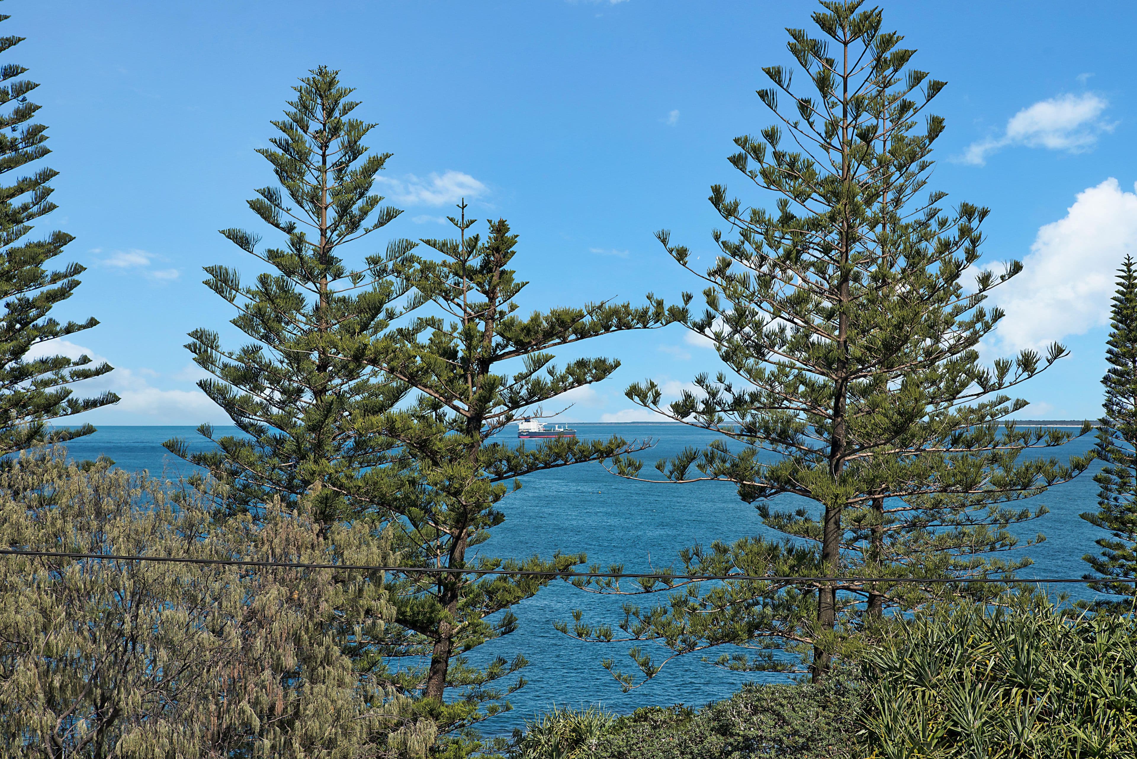 16 Headland Esplanade, Kings Beach QLD 4551, Kings Beach - Thumbnail 6