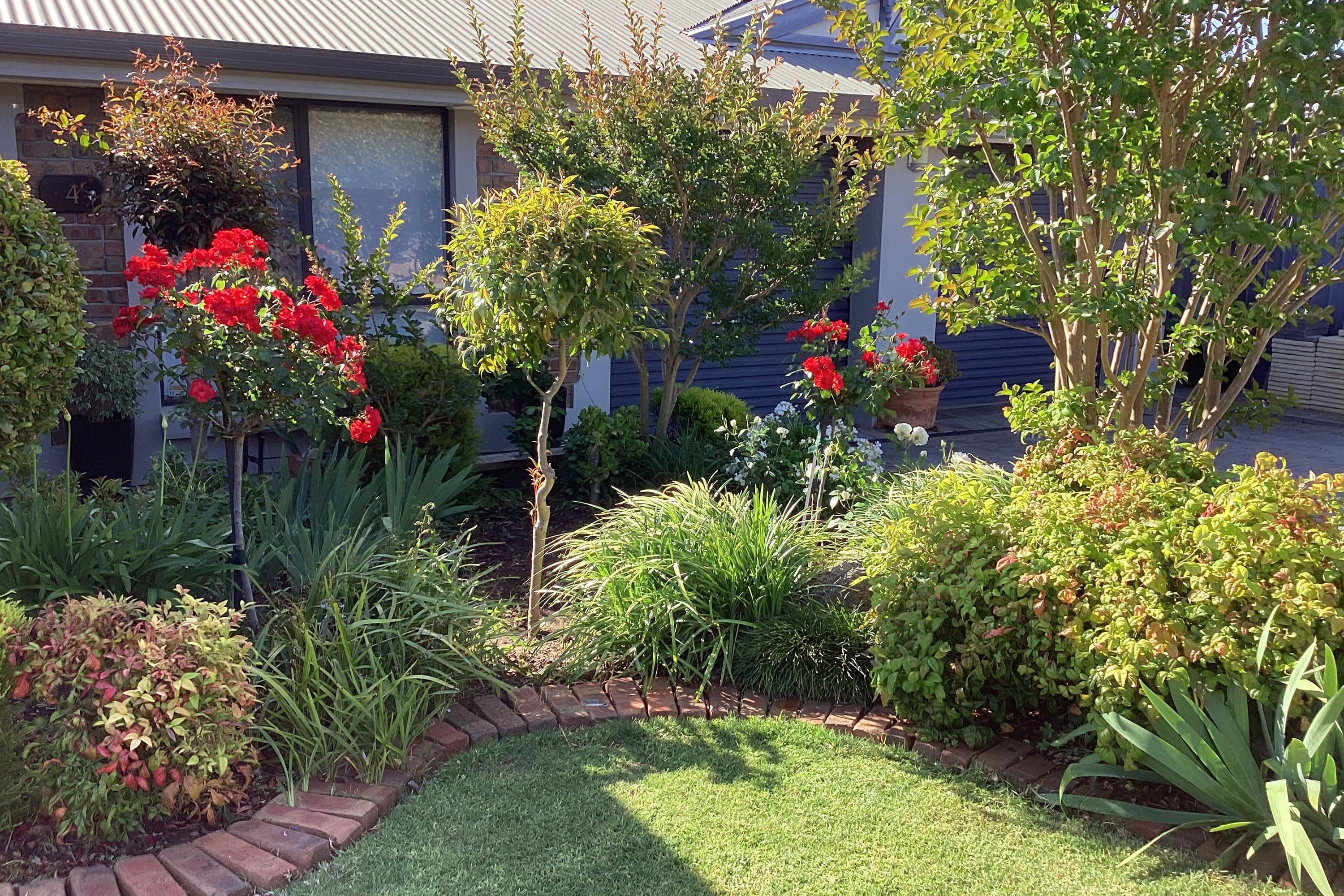 4 Bluebell Lane, Blakeview SA 5114, Blakeview - Thumbnail 6
