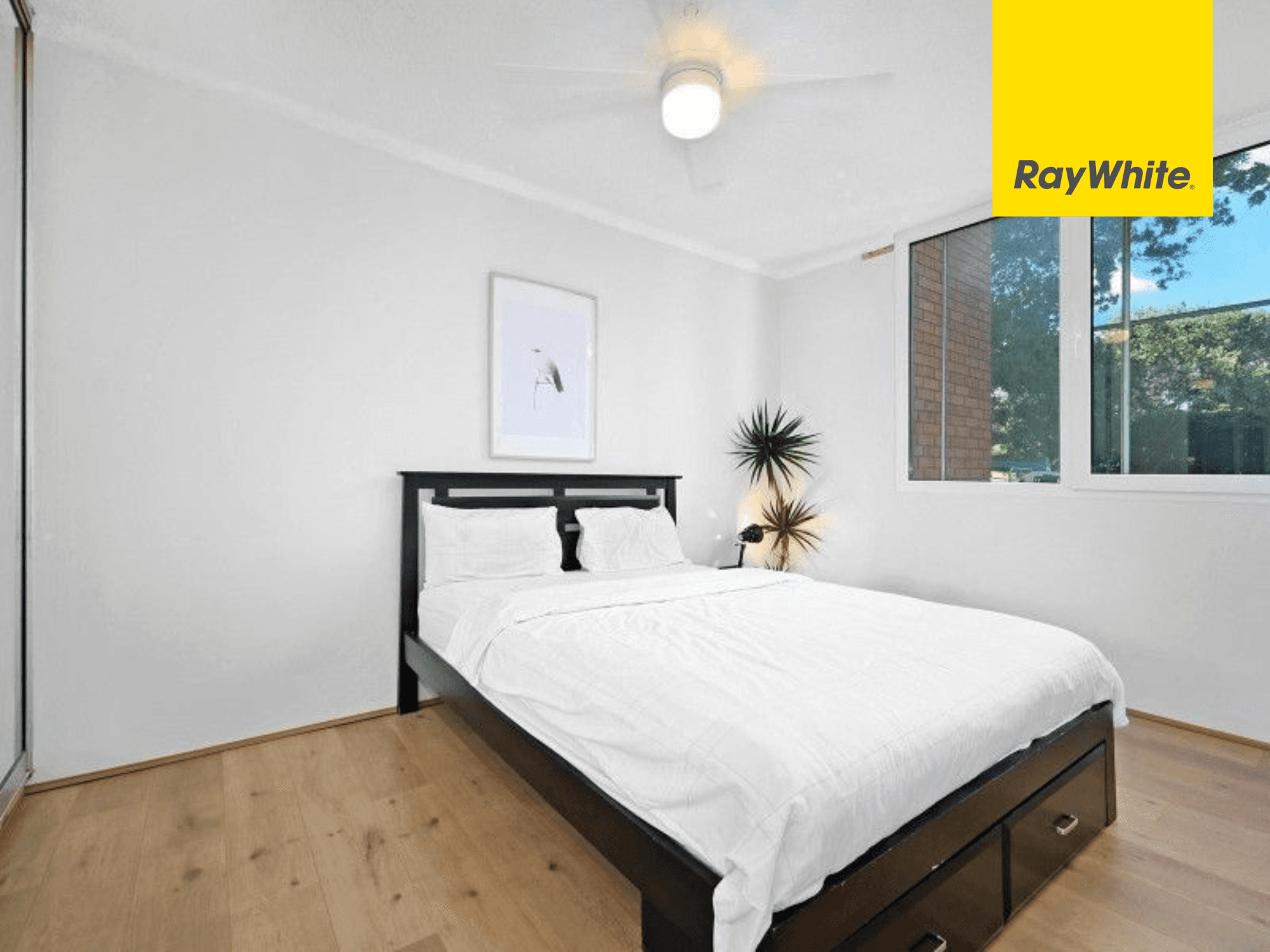 6 Goulding Road, Ryde NSW 2112, Ryde - Thumbnail 4