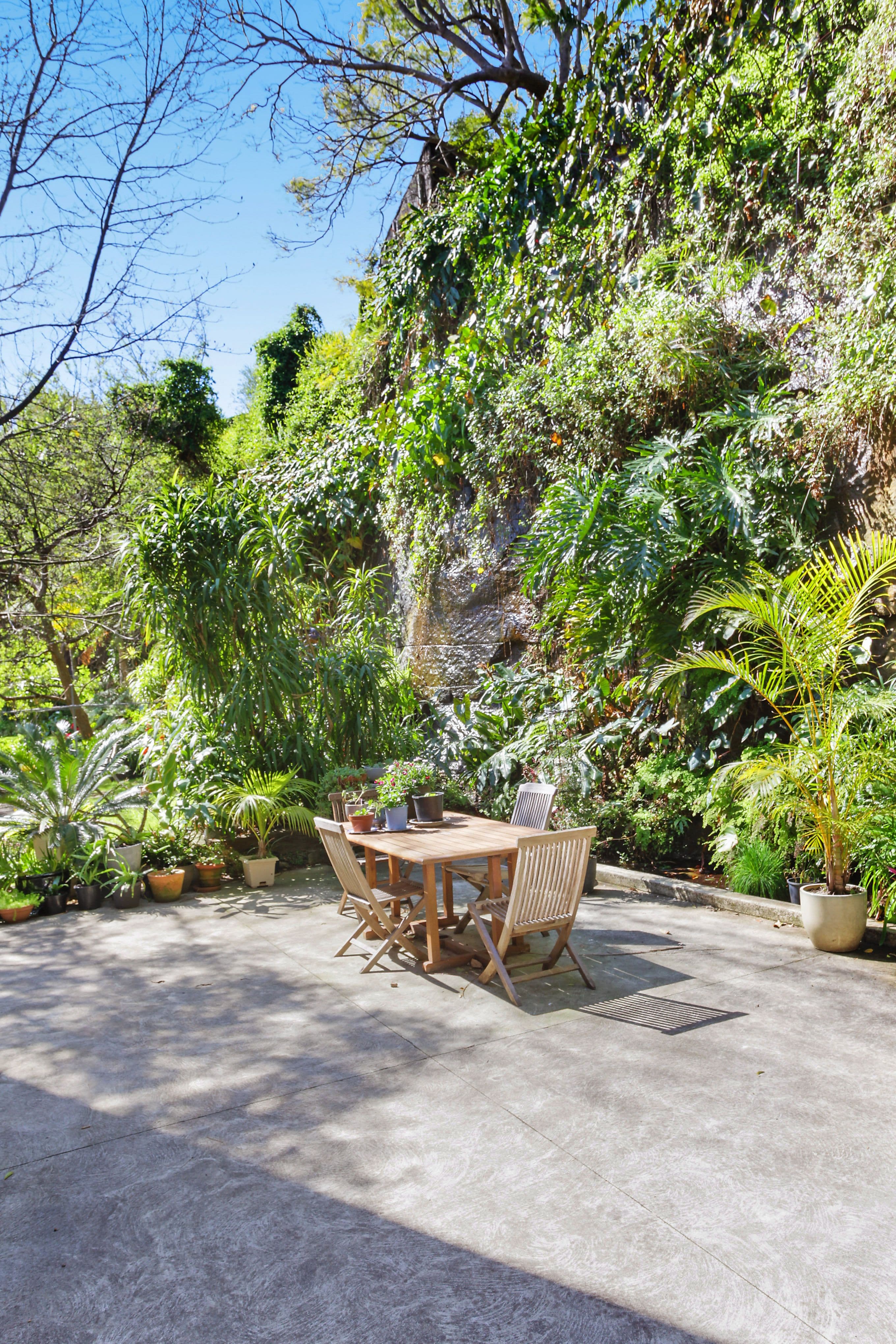 24 Streatfield Road, Bellevue Hill NSW 2023, Bellevue Hill - Thumbnail 8