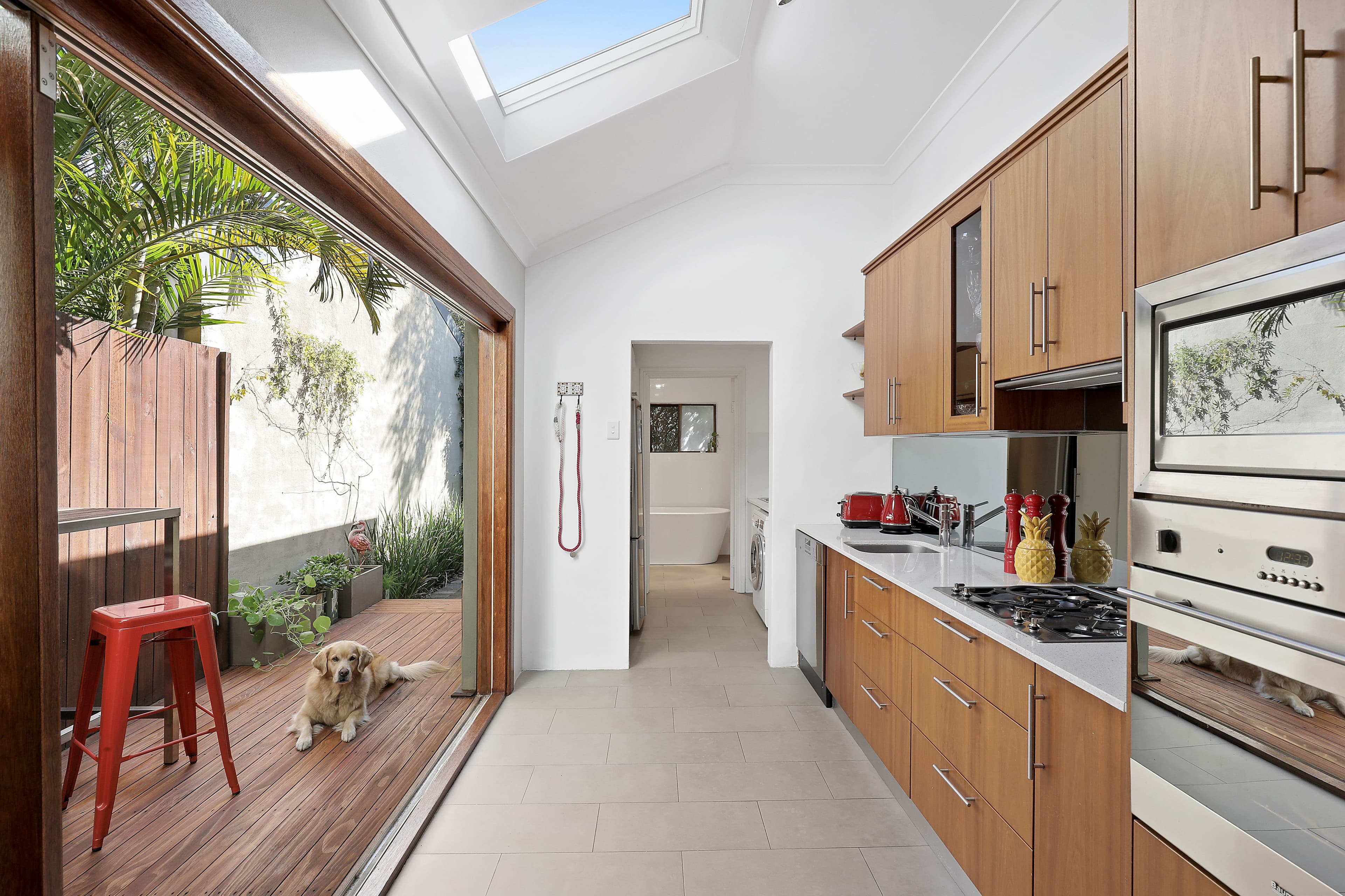 357 Belmont Street, Alexandria NSW 2015, Alexandria - Thumbnail 4