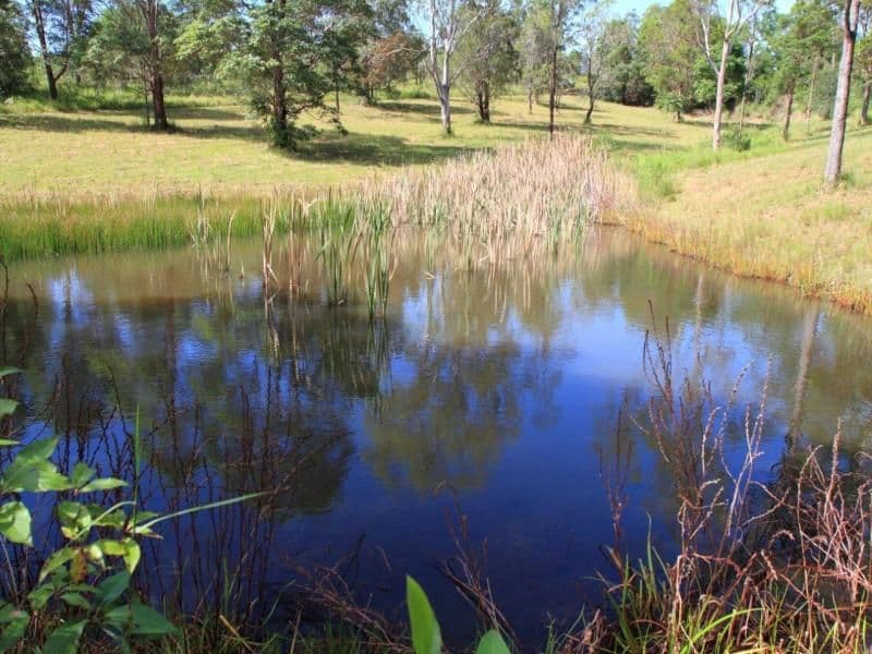 Lot 56 Sunrise Drive, Ocean View QLD 4521, Ocean View - Thumbnail 3