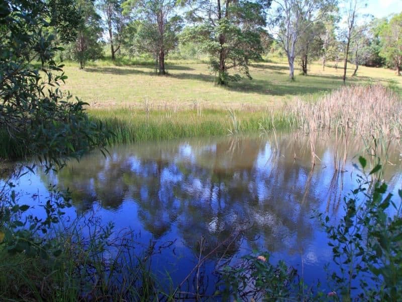 Lot 56 Sunrise Drive, Ocean View QLD 4521, Ocean View - Thumbnail 5
