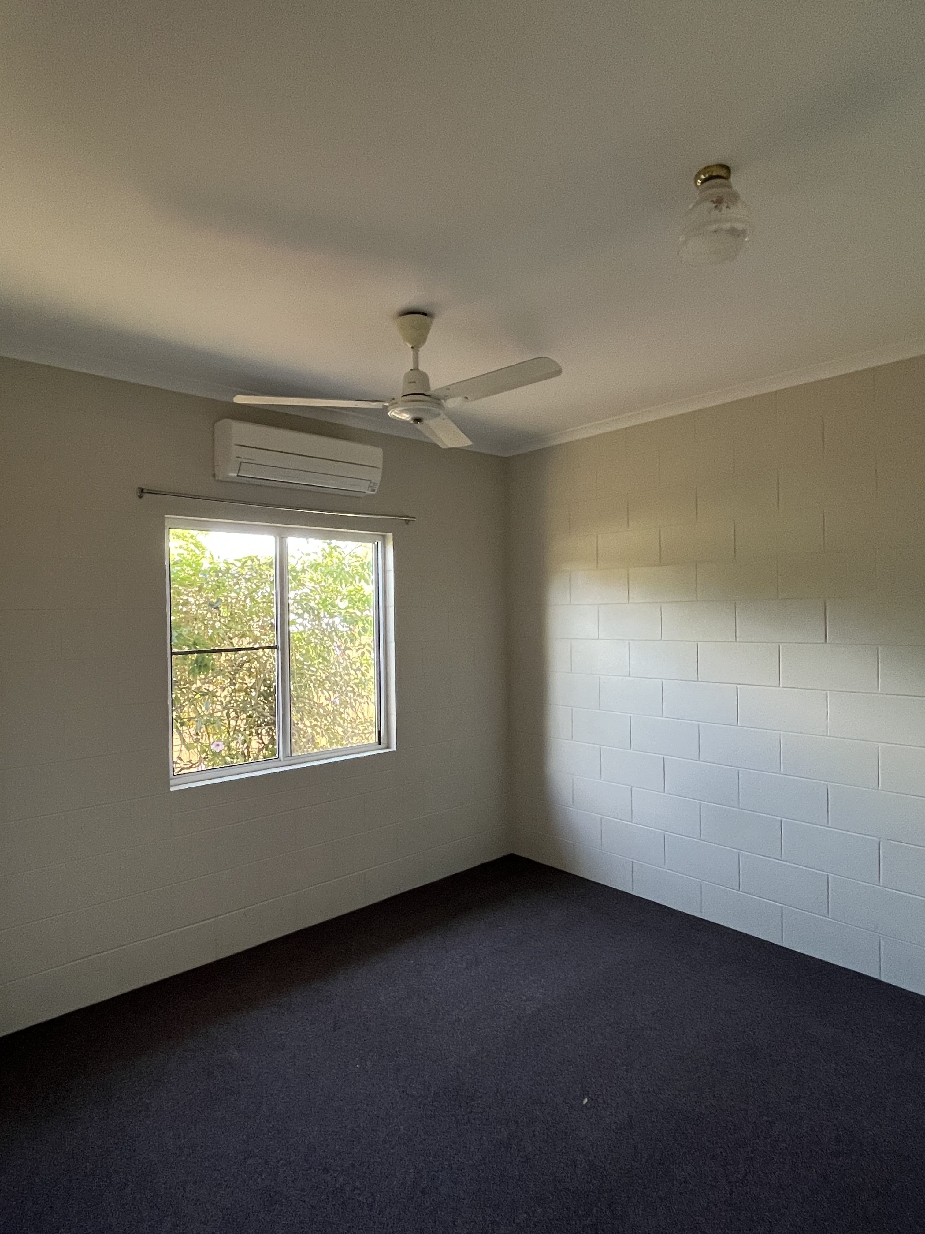 29 Danzer Drive, Atherton QLD 4883, Atherton - Thumbnail 6