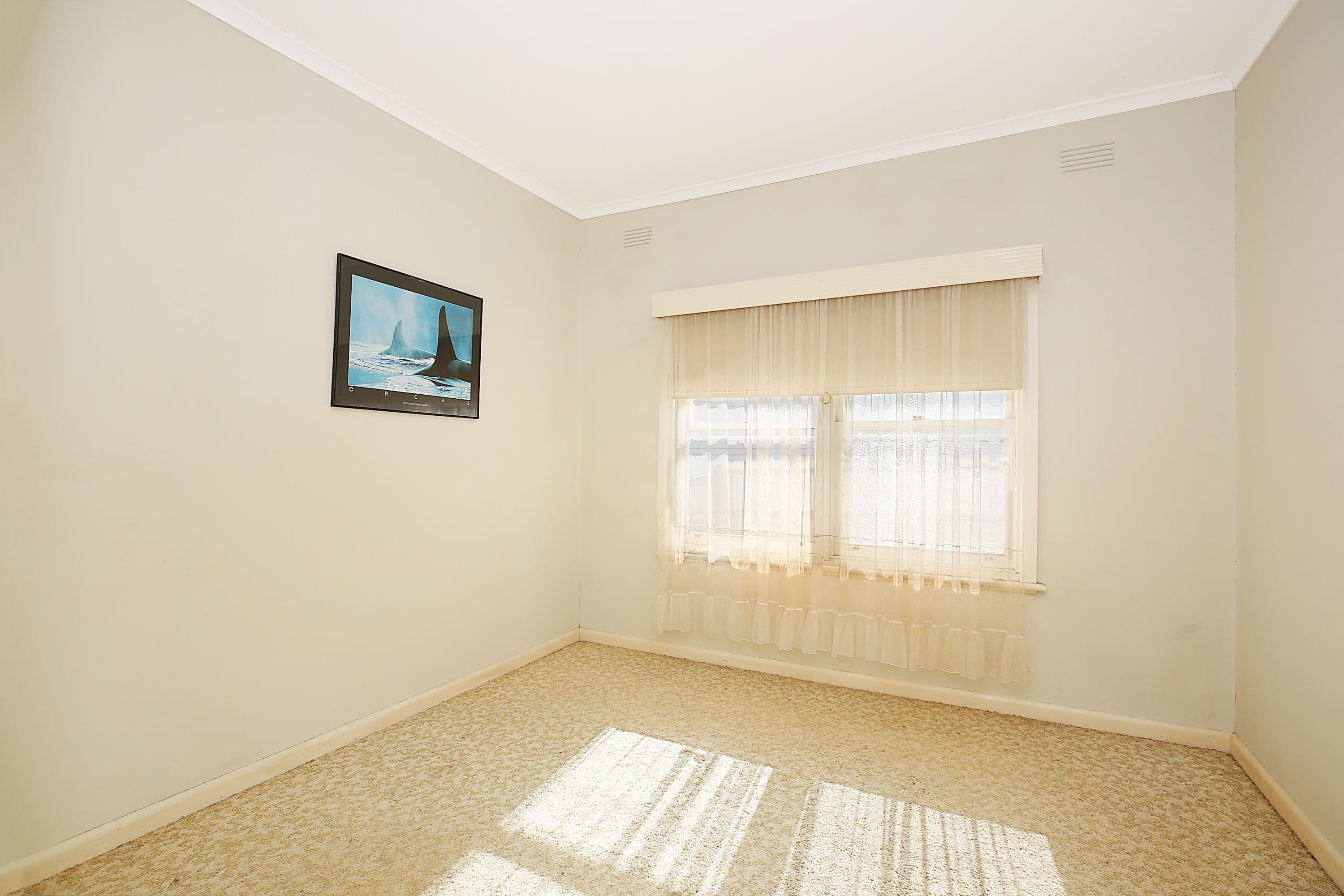 6 Scott Street, Cobden VIC 3266, Cobden - Thumbnail 8