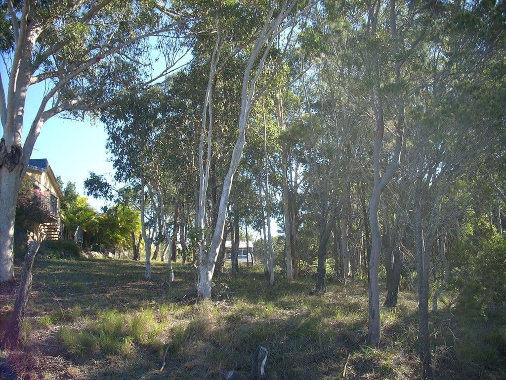 10 Island View Road, Russell Island QLD 4184, Russell Island - Thumbnail 2