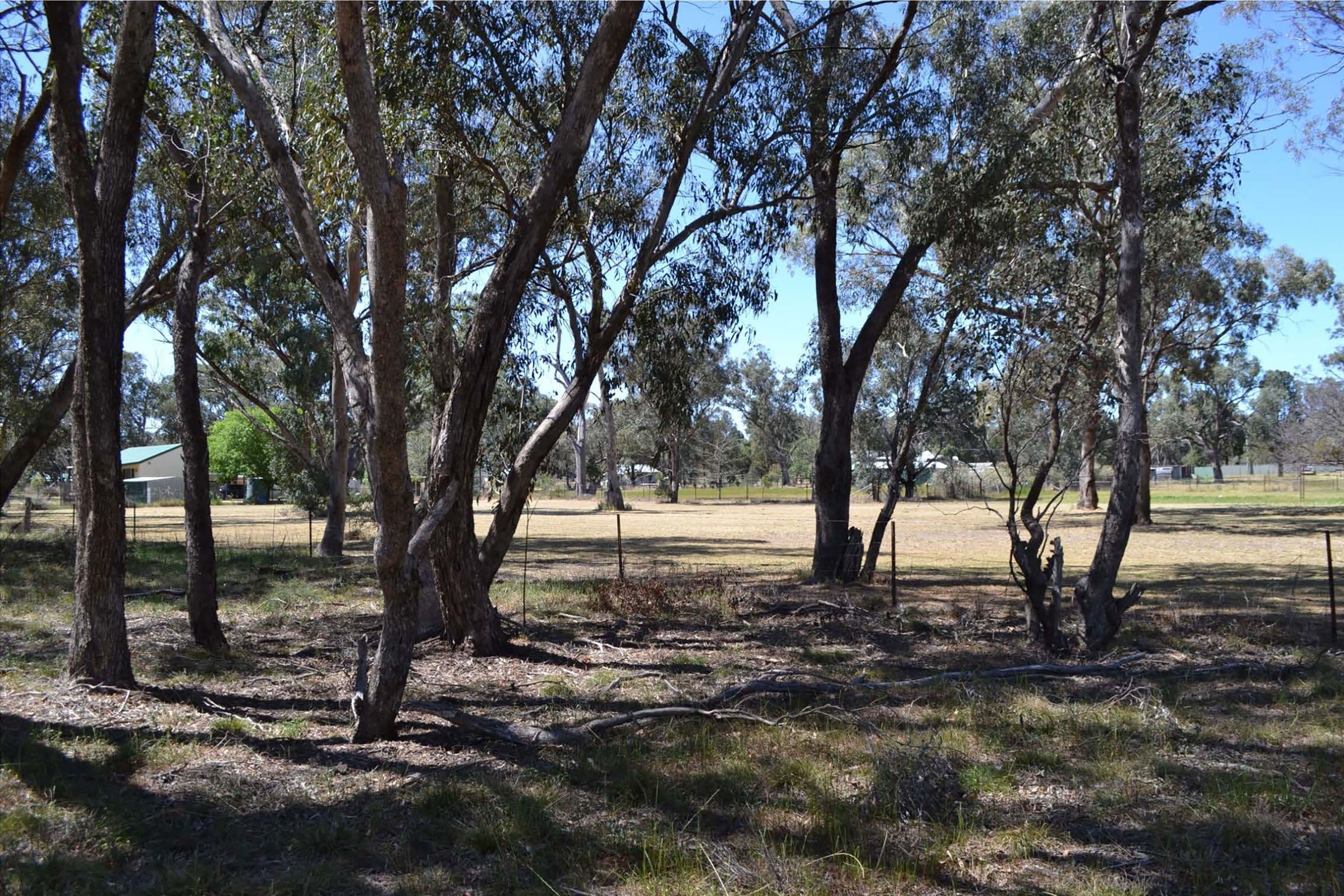 5 Nardoo Street, Ballimore NSW 2830, Ballimore - Image 1