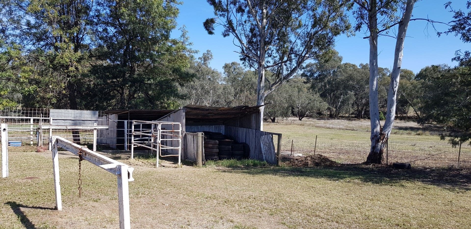 7 Cheney Road, Parkes - Thumbnail 5