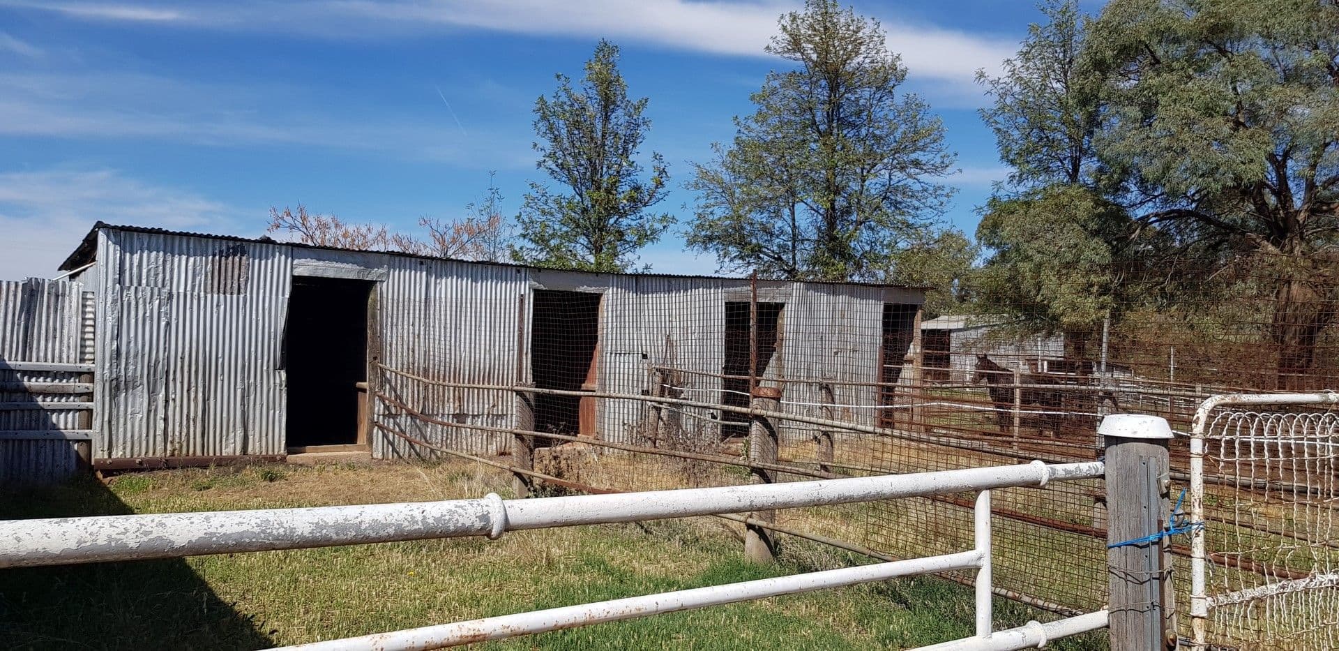 7 Cheney Road, Parkes - Thumbnail 6