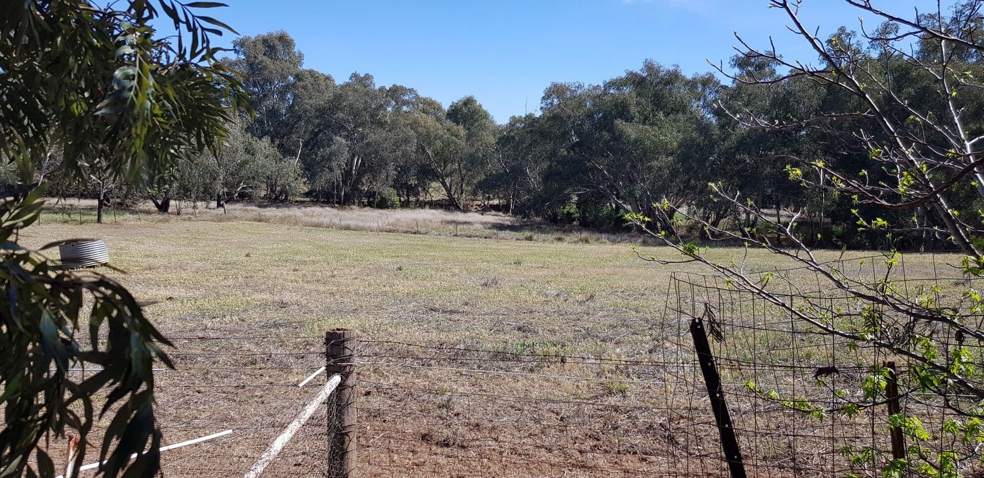 7 Cheney Road, Parkes - Thumbnail 7