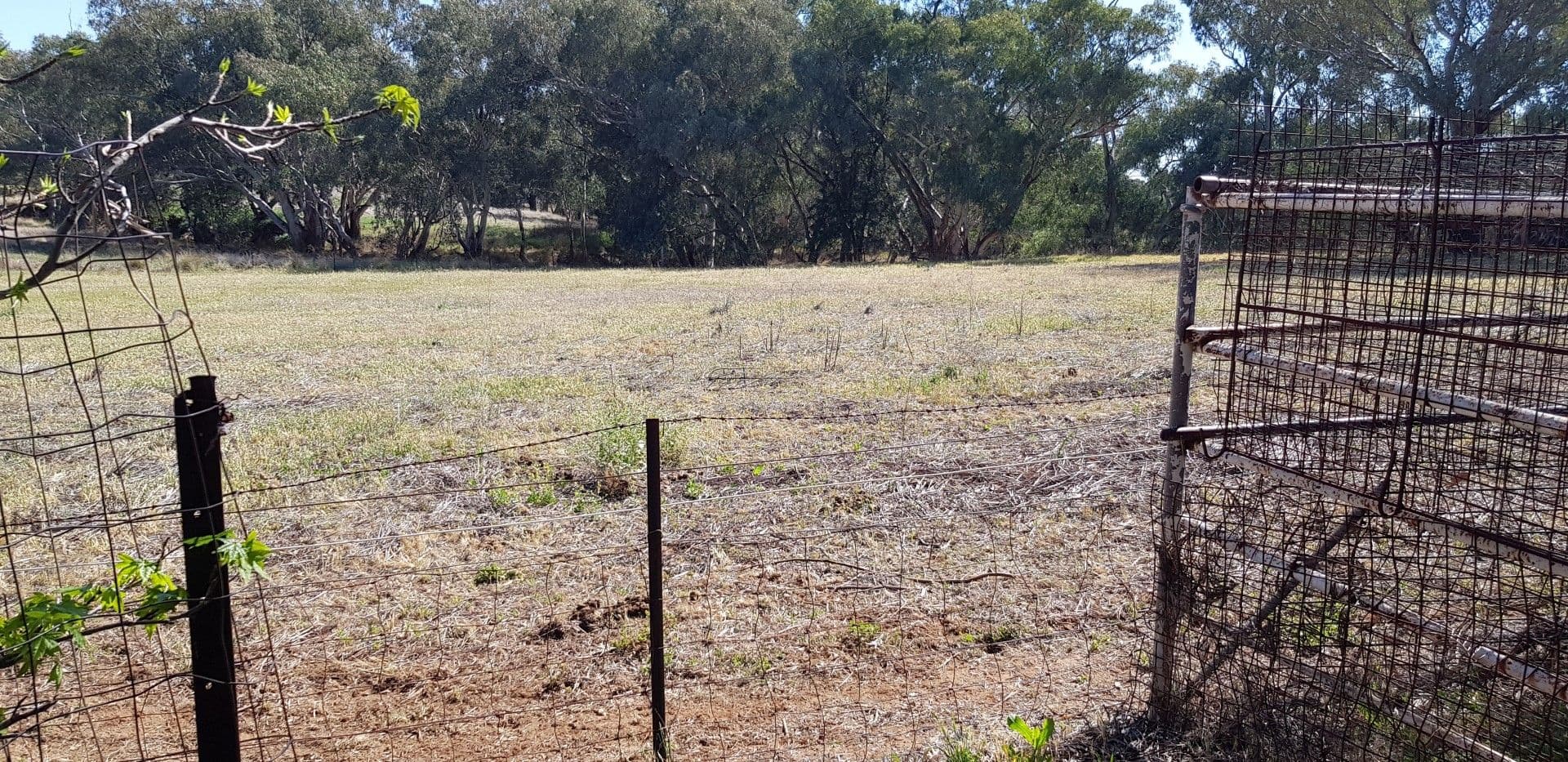 7 Cheney Road, Parkes - Thumbnail 8