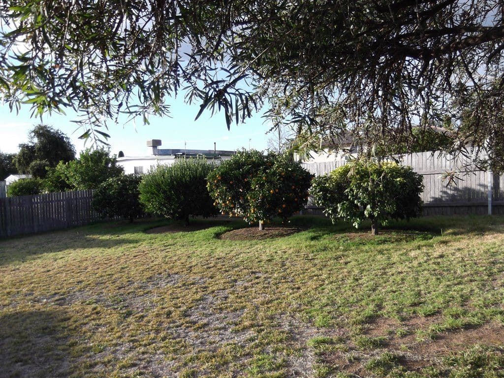 39 Jill Street, TAMWORTH NSW 2340, South Tamworth - Thumbnail 7