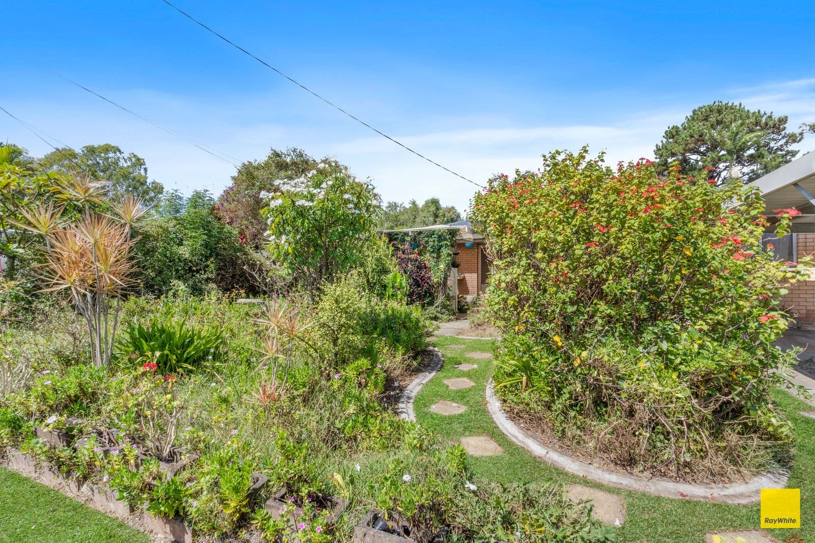 37 Bayford Street, Birkdale QLD 4159, Birkdale - Thumbnail 7