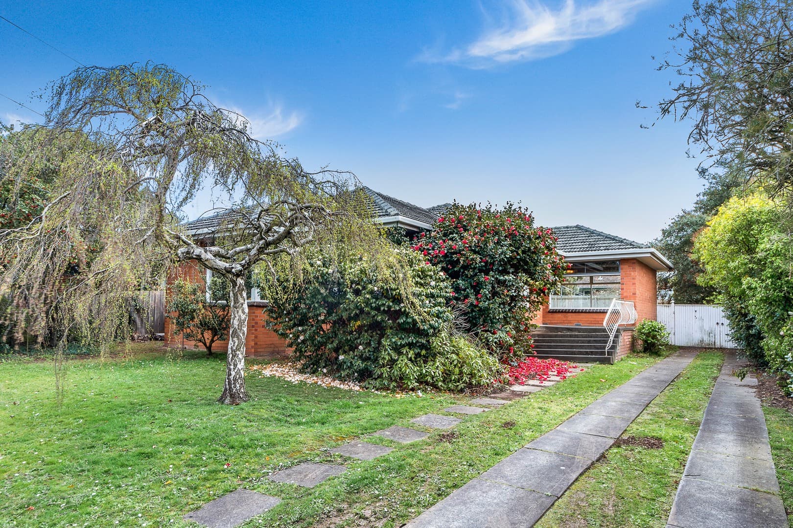 5 Wilkinson Street, Burwood East, VIC 3151, Burwood East - Thumbnail 2
