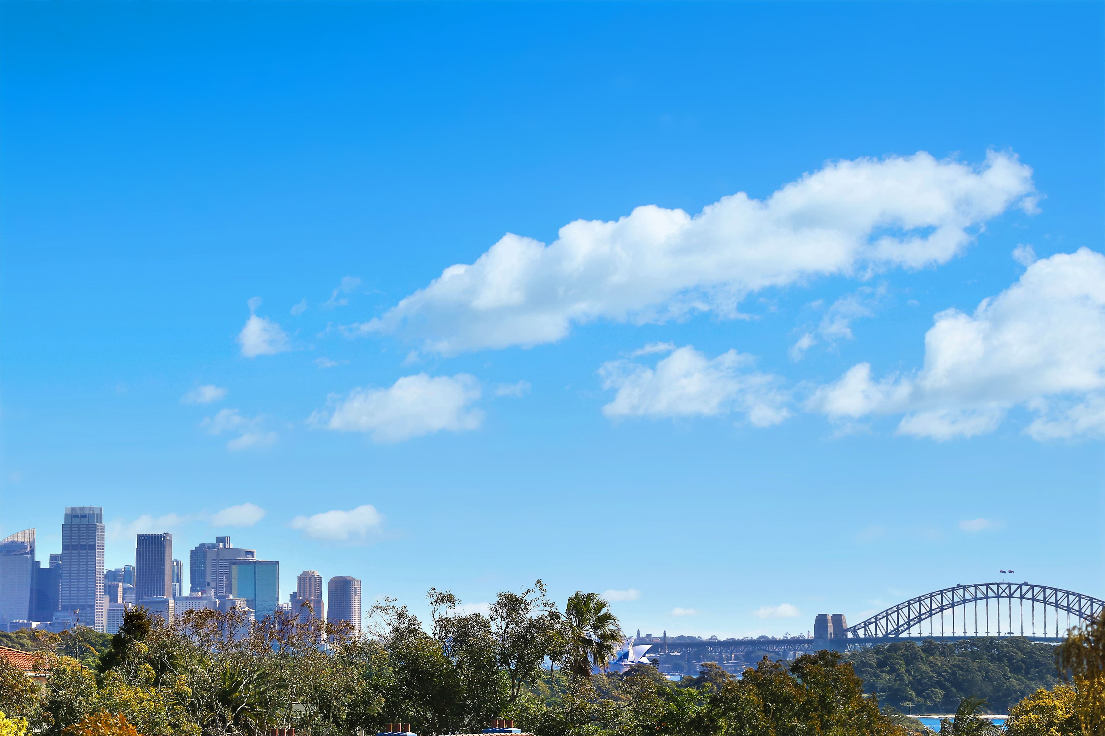 48 Cambridge Avenue, Vaucluse - Thumbnail 3