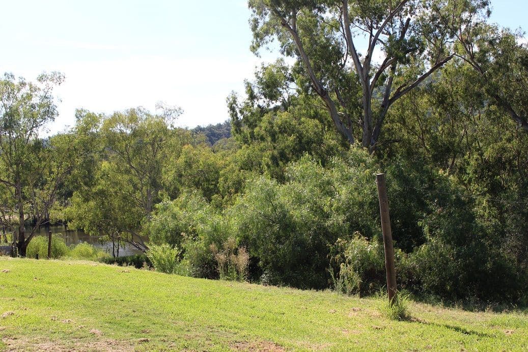 6 Gwydir Street, Bingara - Thumbnail 4