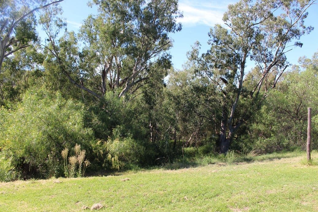 6 Gwydir Street, Bingara - Thumbnail 5
