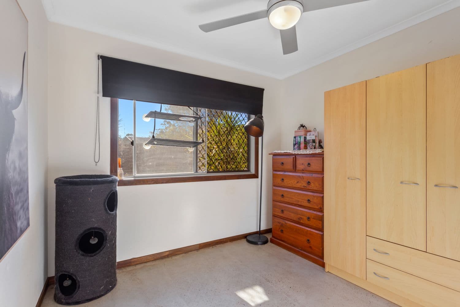 20 Vidler Court, Landsborough QLD 4550, Landsborough - Thumbnail 7