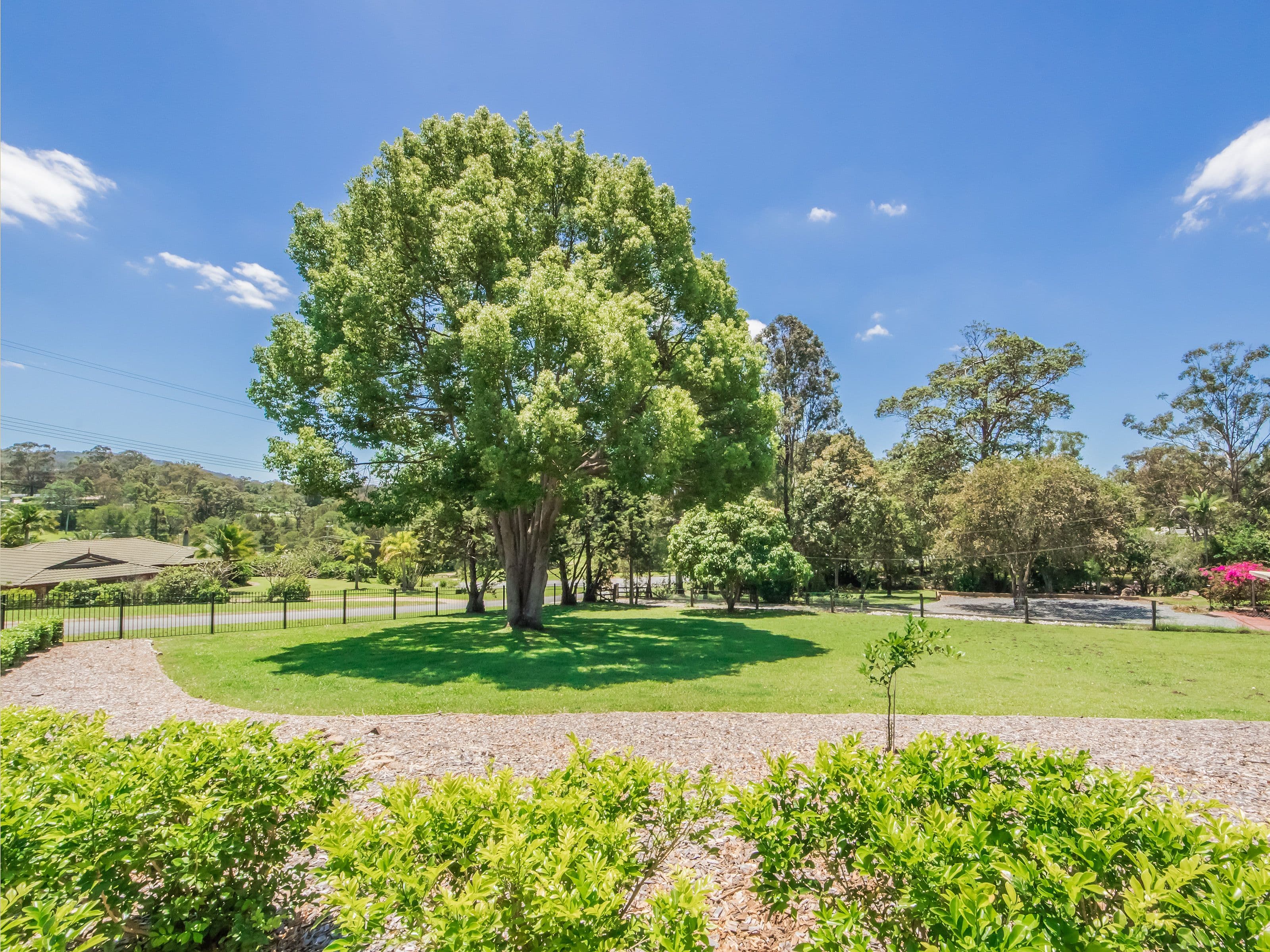 4 Asher Court, Upper Coomera QLD 4209, Upper Coomera - Image 1