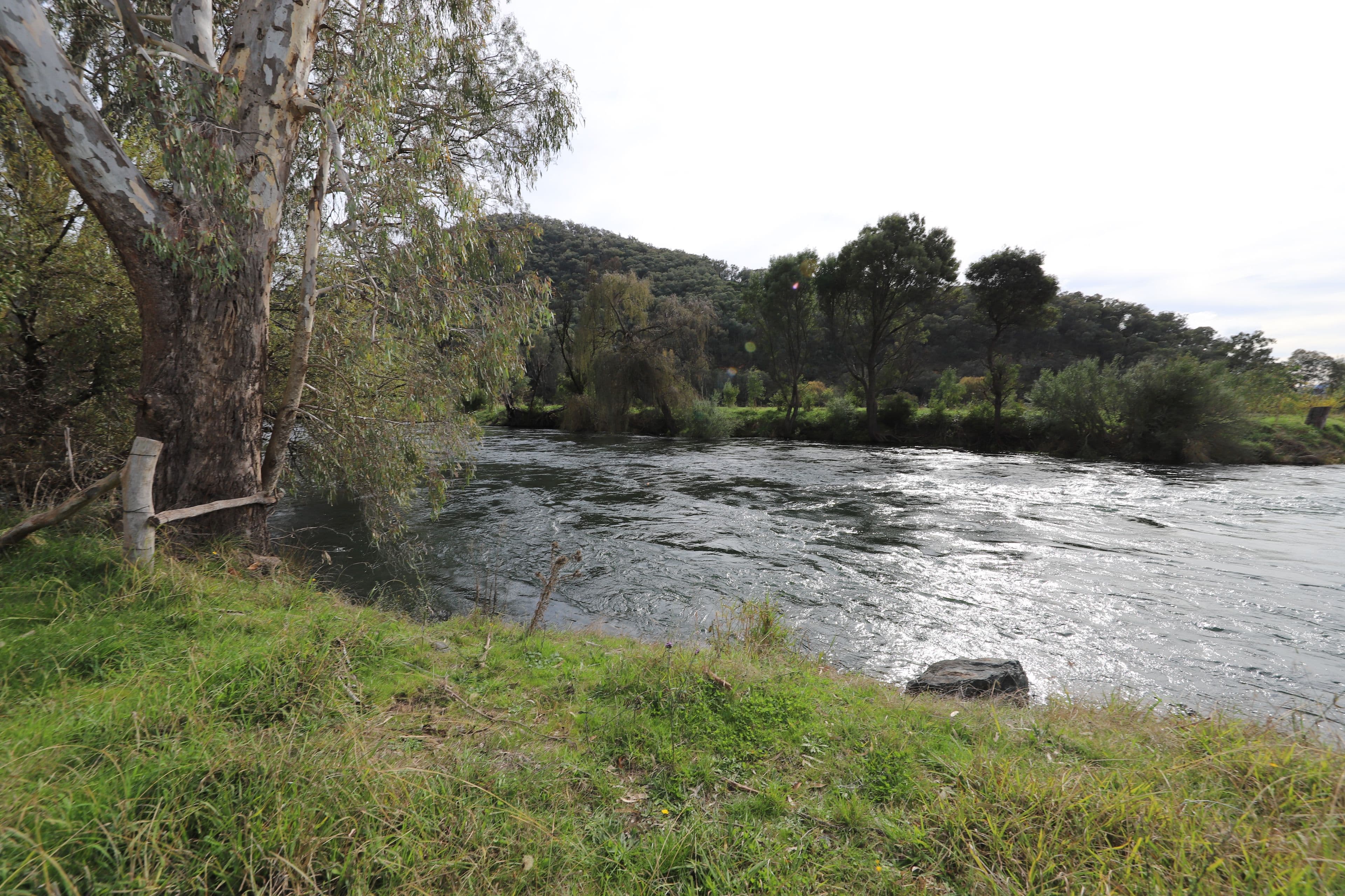 West Blowering, Jones Bridge NSW 2720, Jones Bridge - Thumbnail 5