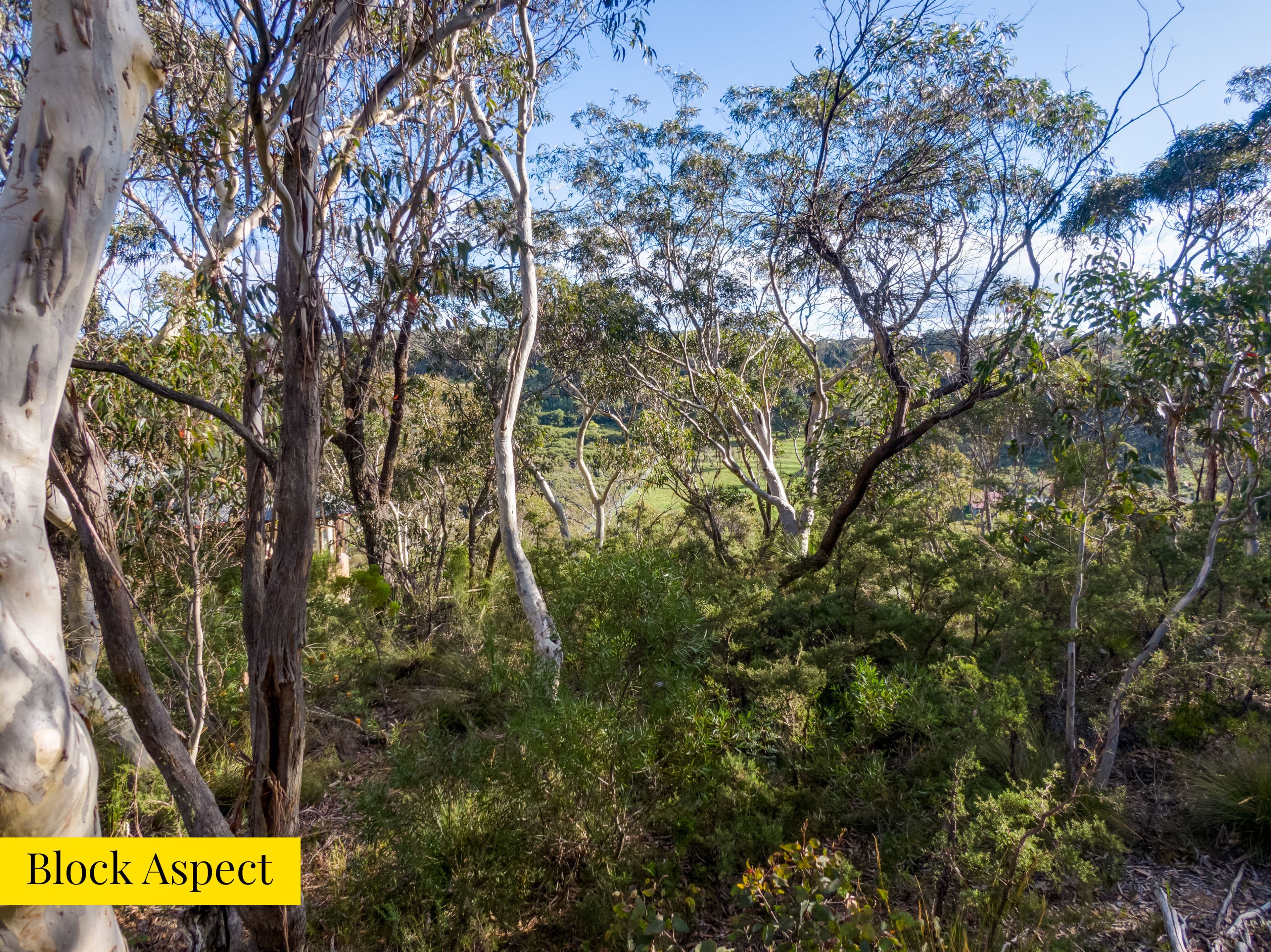 68 First Avenue, Katoomba NSW 2780, Katoomba - Thumbnail 8