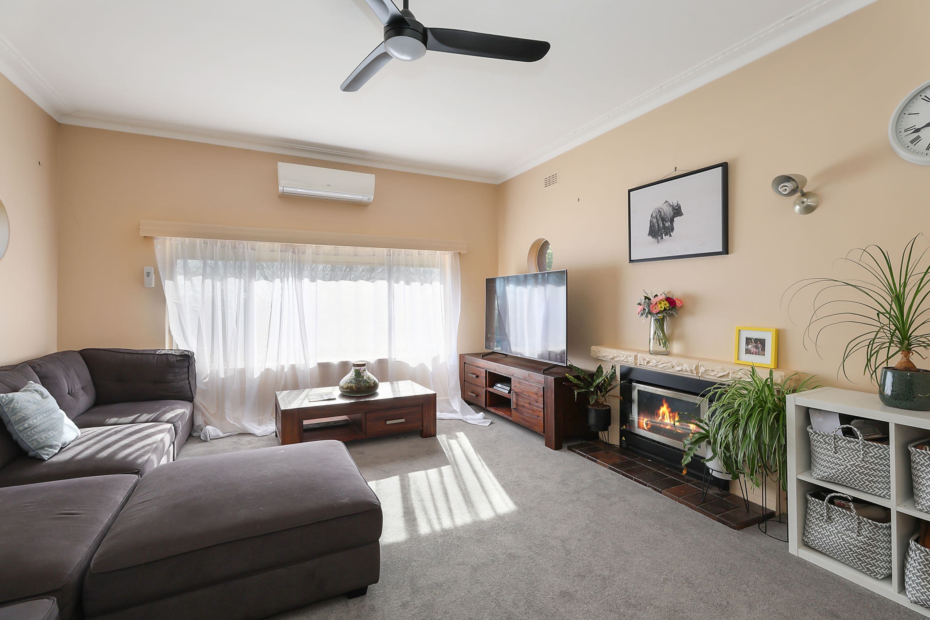 1C Errey Street, Camperdown VIC 3260, Camperdown - Thumbnail 4