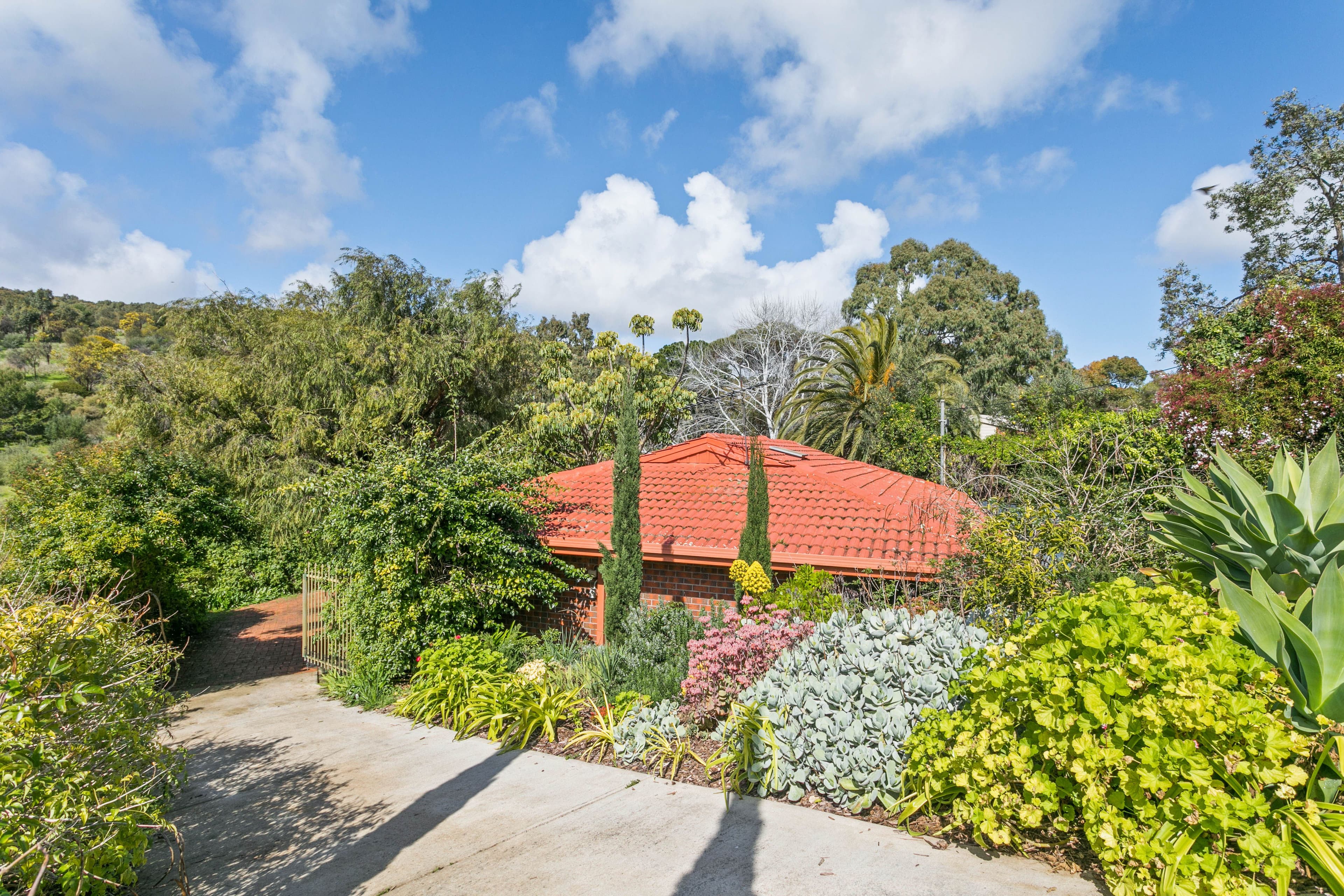 54 Alpine Road, Seacombe Heights SA 5047, Seacombe Heights - Thumbnail 2