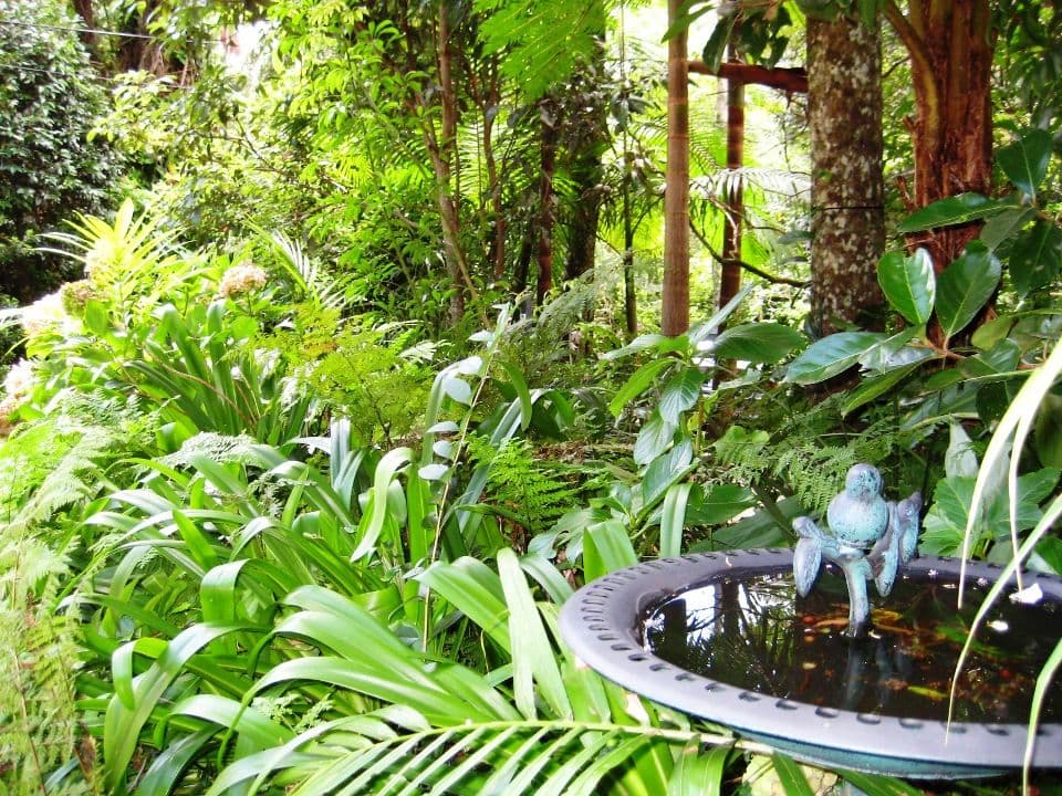 TAMBORINE MOUNTAIN QLD 4272, Tamborine Mountain - Thumbnail 4