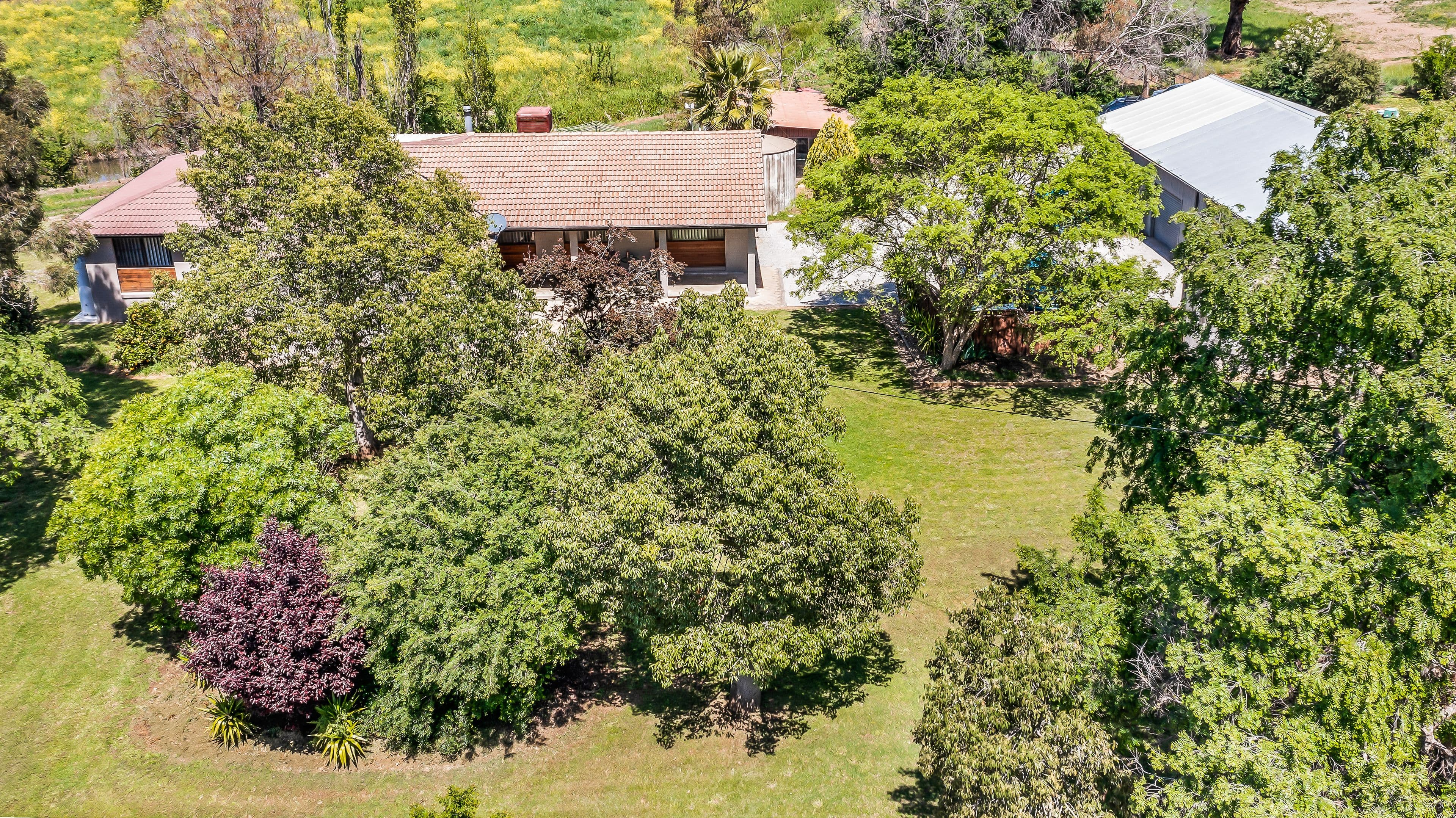 712 Nundle Road, Tamworth NSW 2340, Piallamore - Image 1