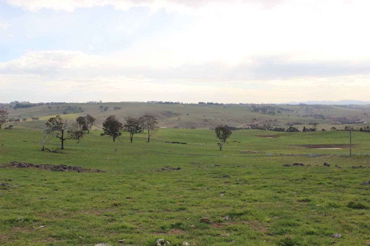 Lot 211 Browns Creek Road, Blayney NSW 2799, Blayney - Image 1