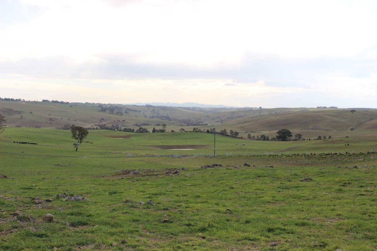 Lot 211 Browns Creek Road, Blayney NSW 2799, Blayney - Thumbnail 2