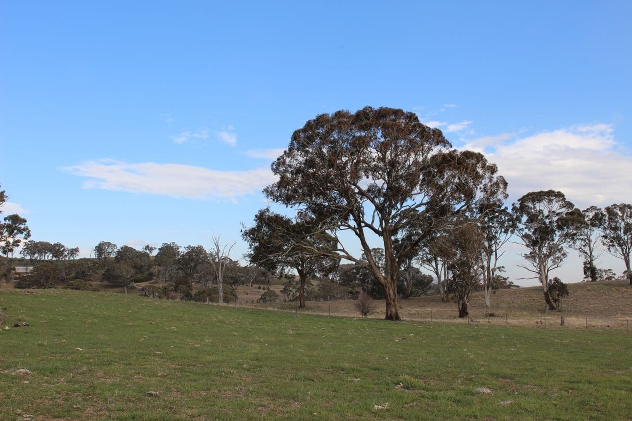 Lot 211 Browns Creek Road, Blayney NSW 2799, Blayney - Thumbnail 3