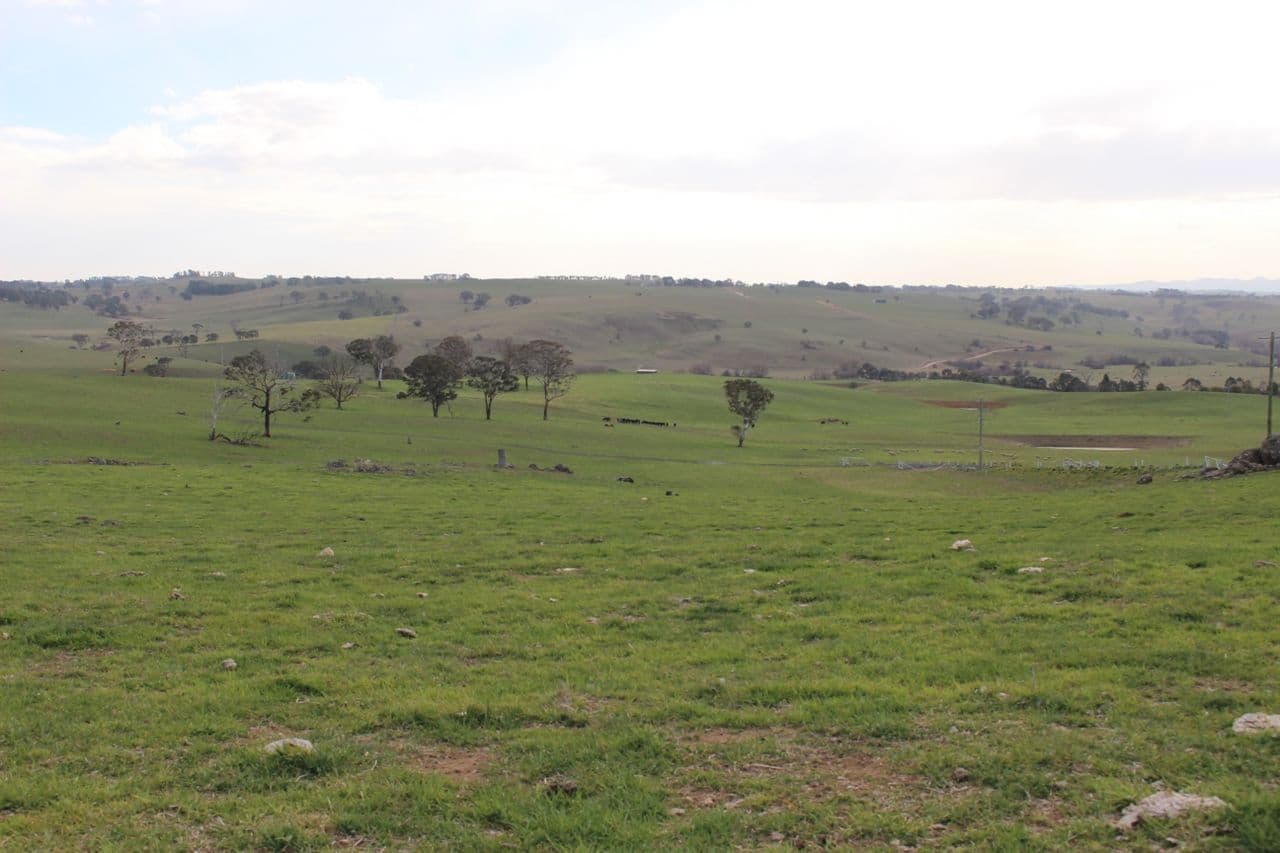 Lot 211 Browns Creek Road, Blayney NSW 2799, Blayney - Thumbnail 6