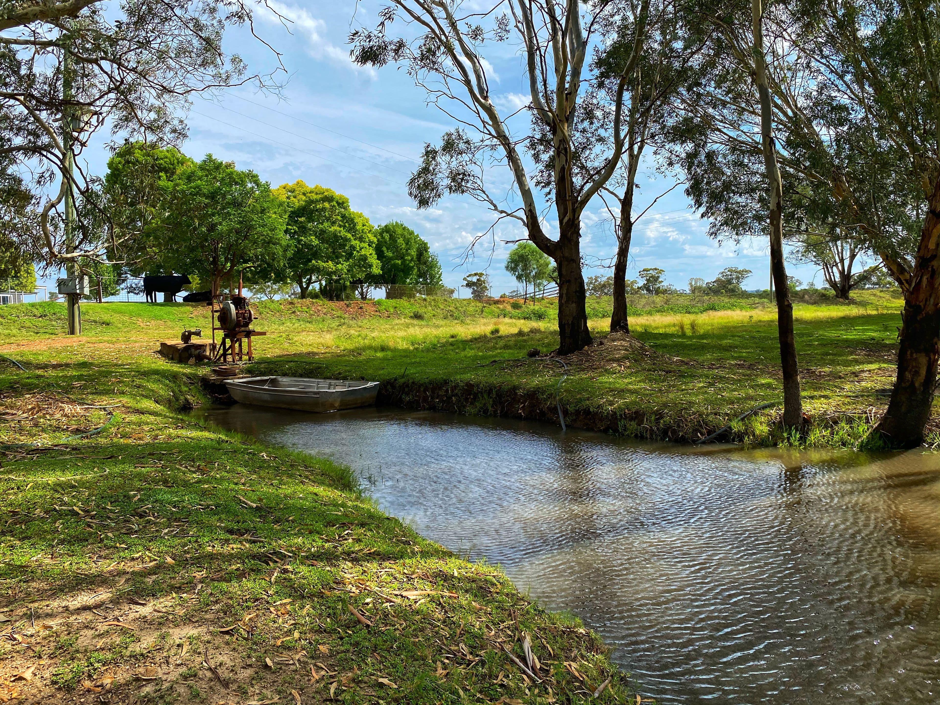 Woodlands 9851 Henry Parkes Way, Condobolin NSW 2877, Condobolin - Thumbnail 4